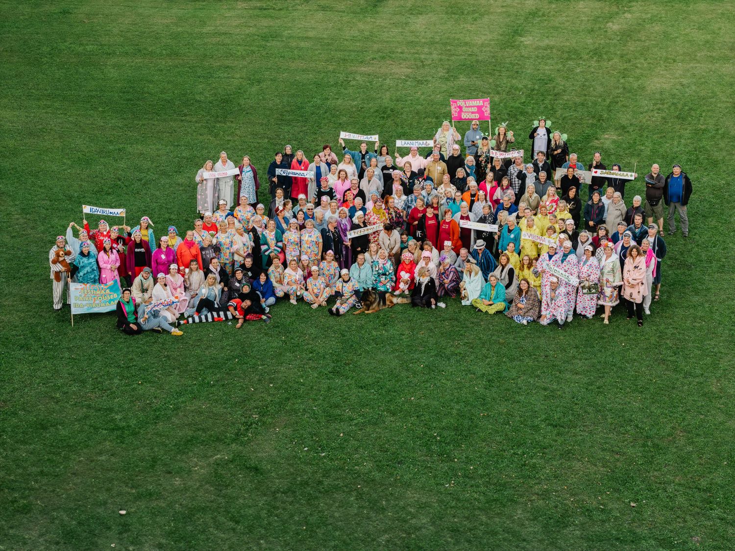 Aerial view of a large colorful group of people gathered on green grass for an outdoor community event.