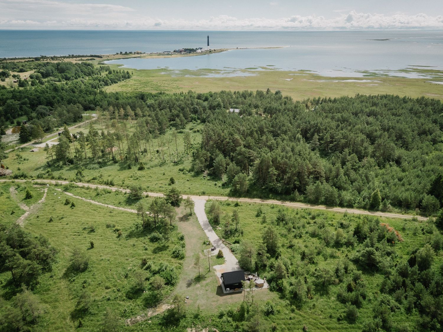 Aerial view of a dense green forest near a coastal shoreline with a lighthouse visible in the distance.