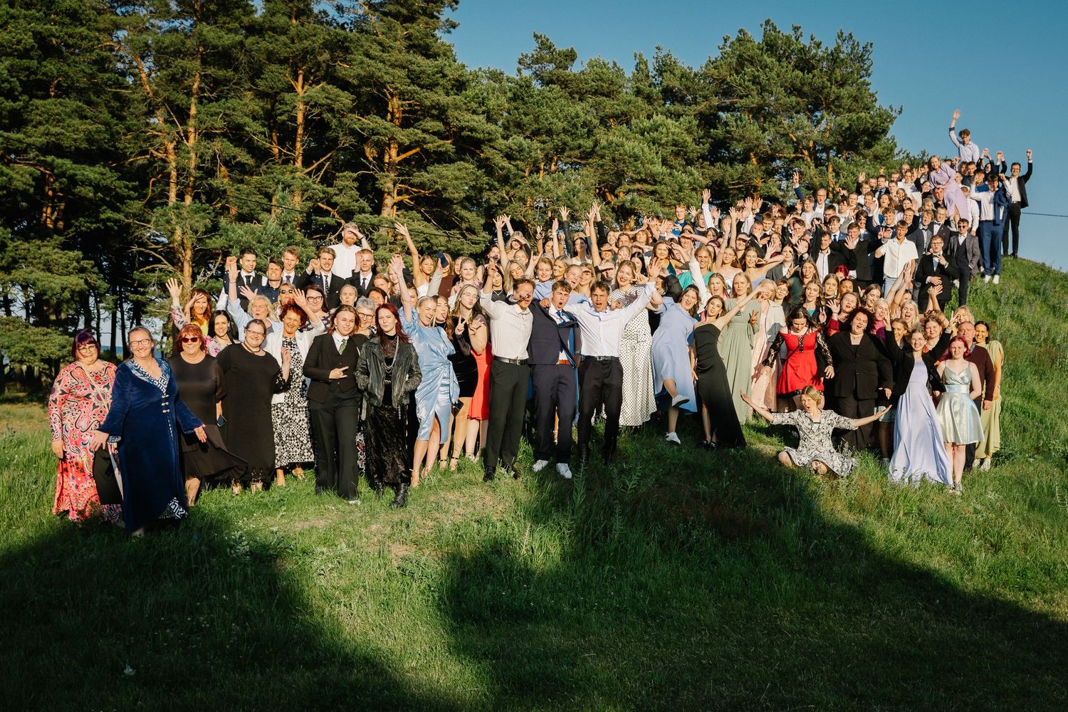 Large group of wedding guests posing together outdoors on a grassy hill surrounded by tall pine trees.