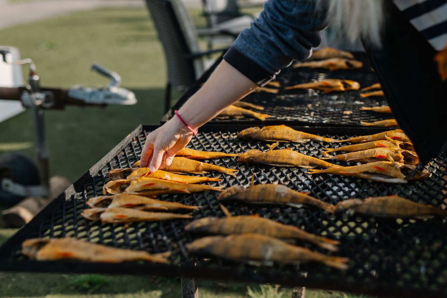 Person arranging smoked fish on an outdoor drying rack at a food market or festival.
