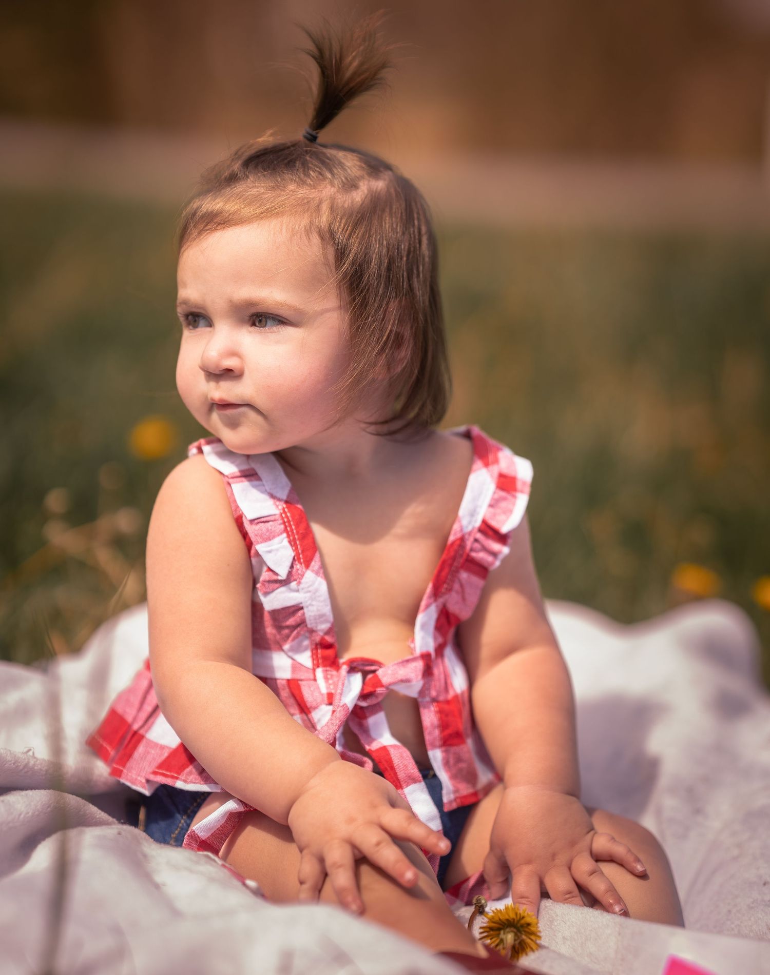 A cute toddler girl in a red gingham dress sits on a white blanket outdoors in a sunny field.