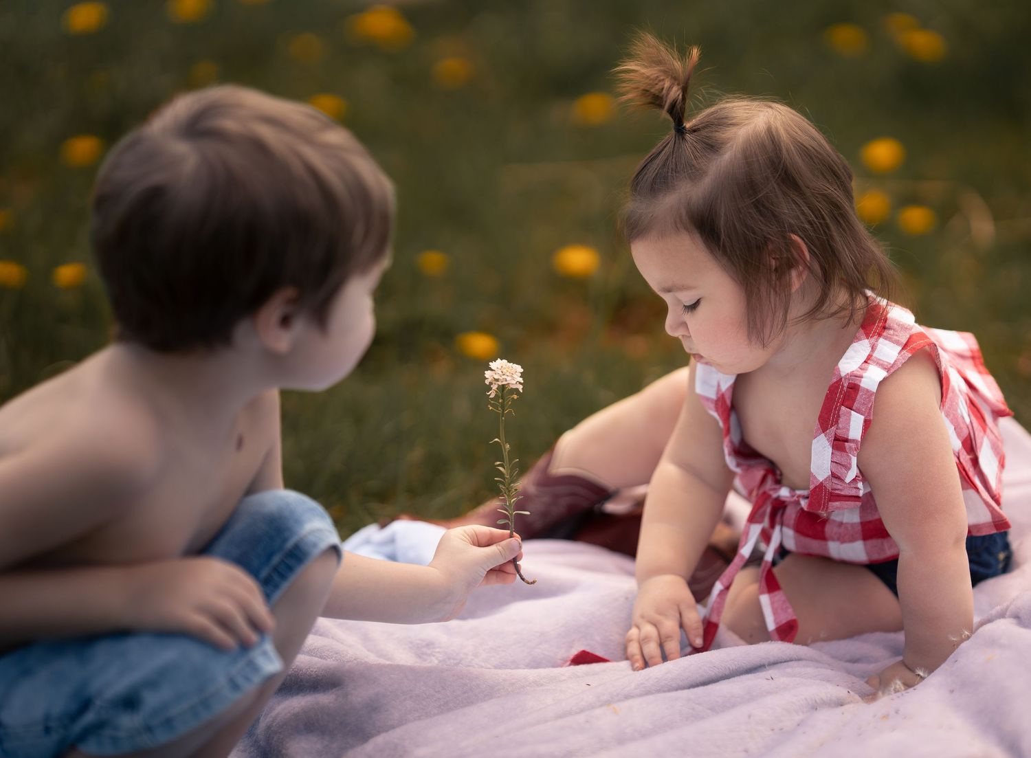 A shirtless boy offers a white daisy flower to a smiling toddler girl in a red dress on a picnic blanket.