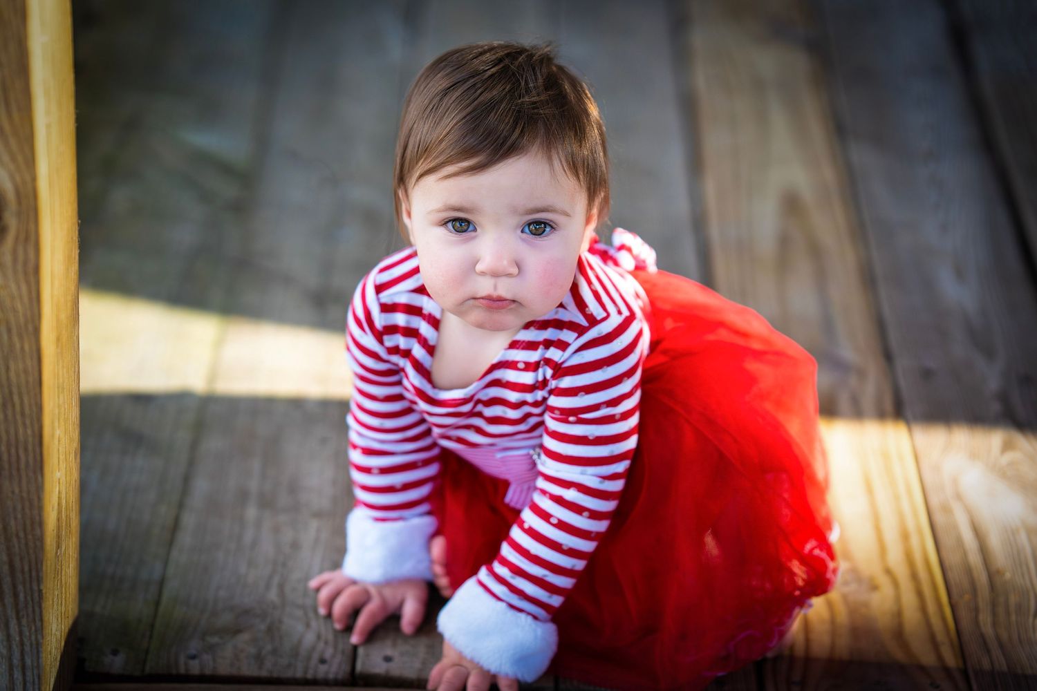 Adorable baby girl in red tutu and striped shirt crawling on wooden deck floor.