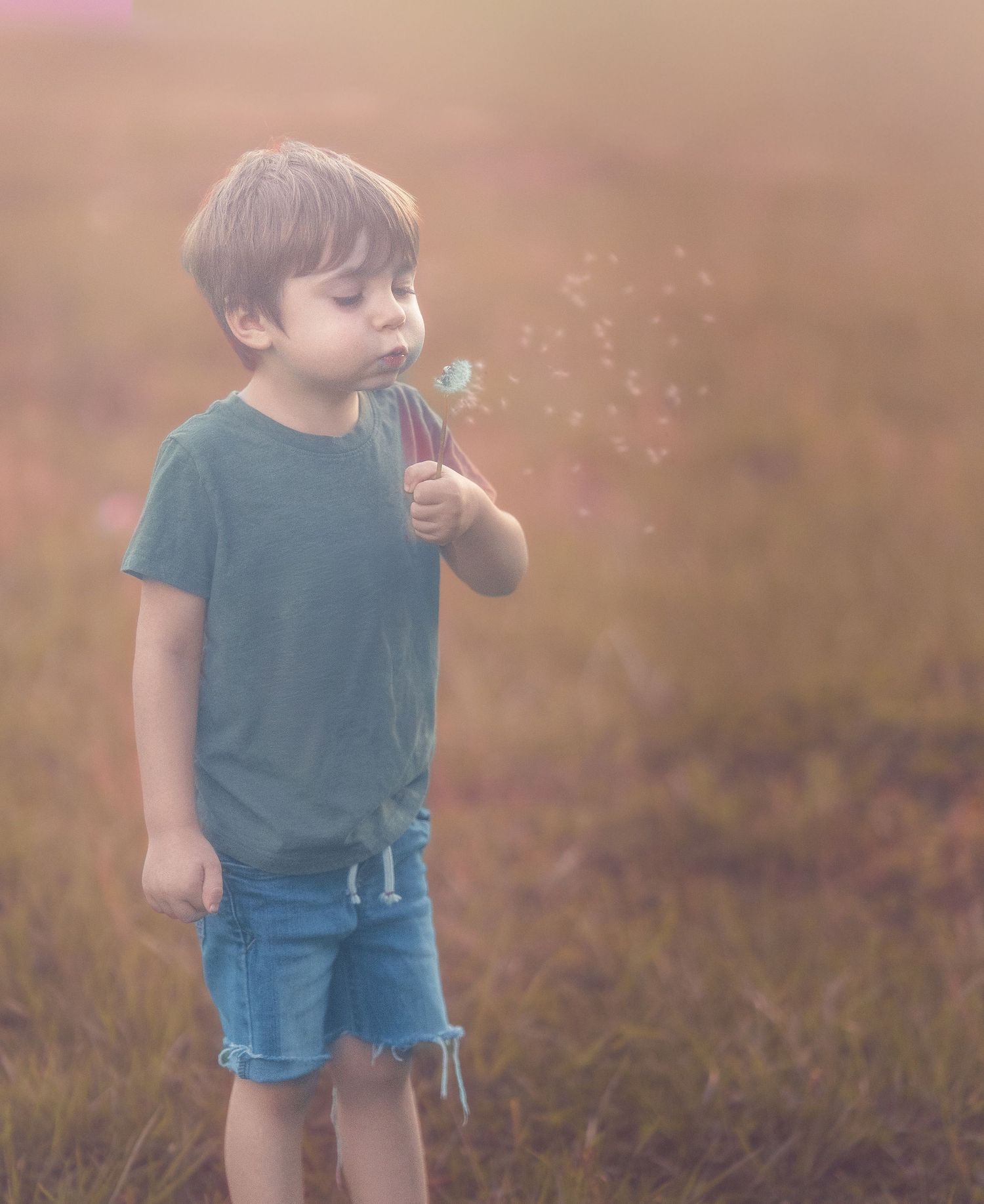 Young boy blowing dandelion seeds in a sunlit meadow, wearing a teal shirt and denim shorts.