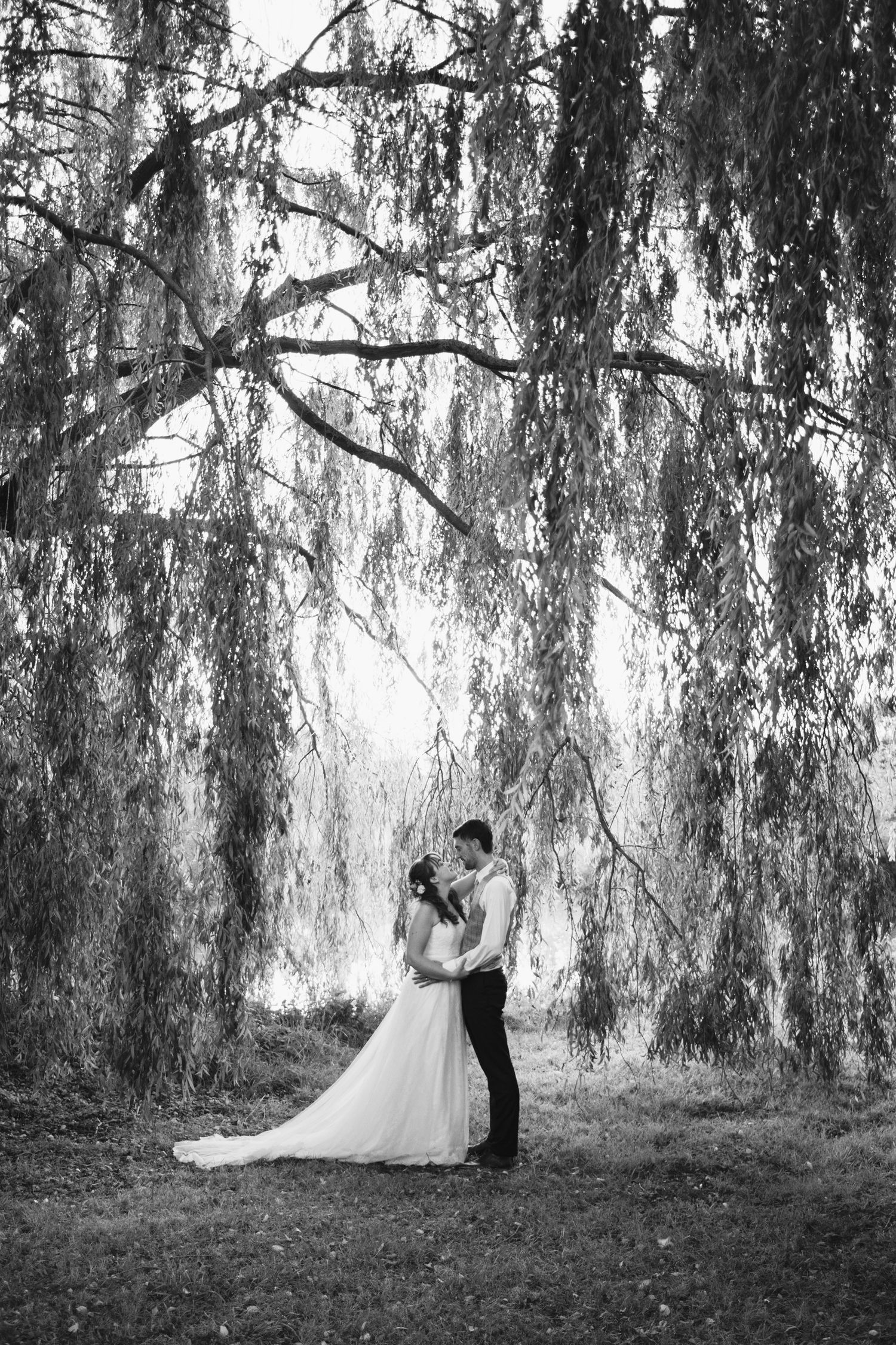 a black and white image of a bride and groom underneath a huge Willow tree with the tree branches hanging down from above