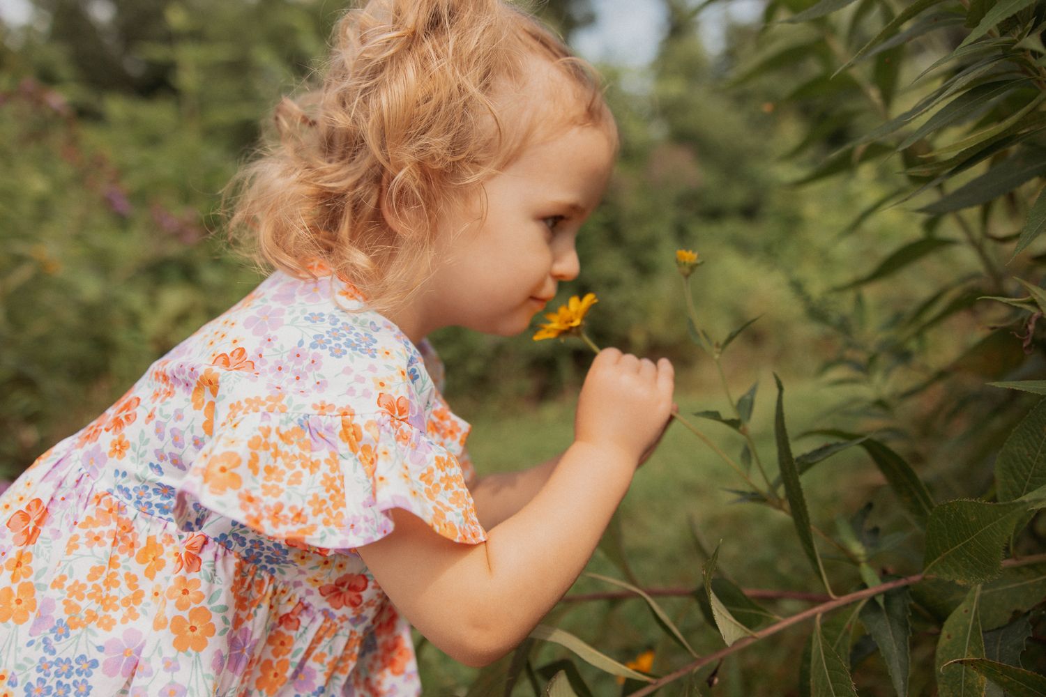 Young child in floral dress smelling yellow wildflowers in a garden setting.