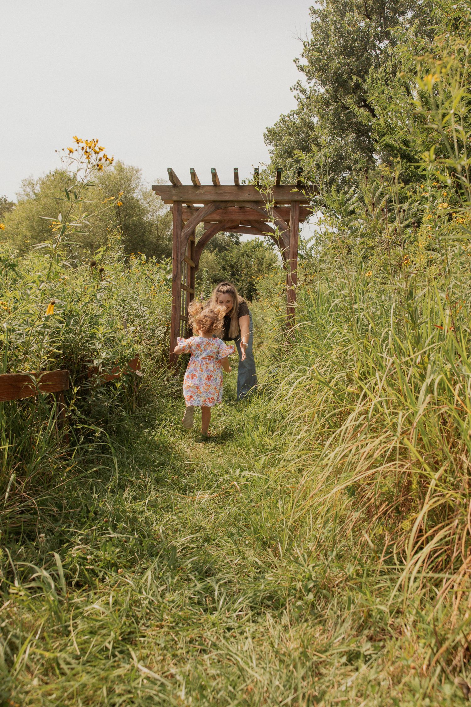 A garden path leads to a wooden pergola surrounded by tall summer grasses.