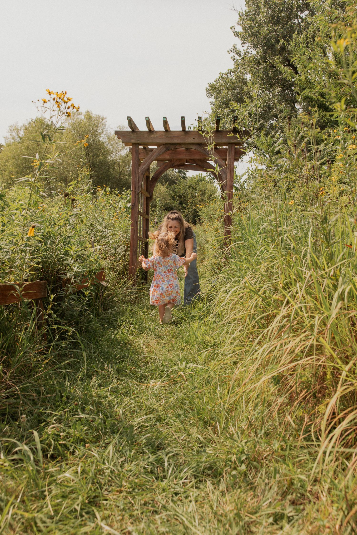 A wooden pergola stands among tall grasses in a natural garden setting.