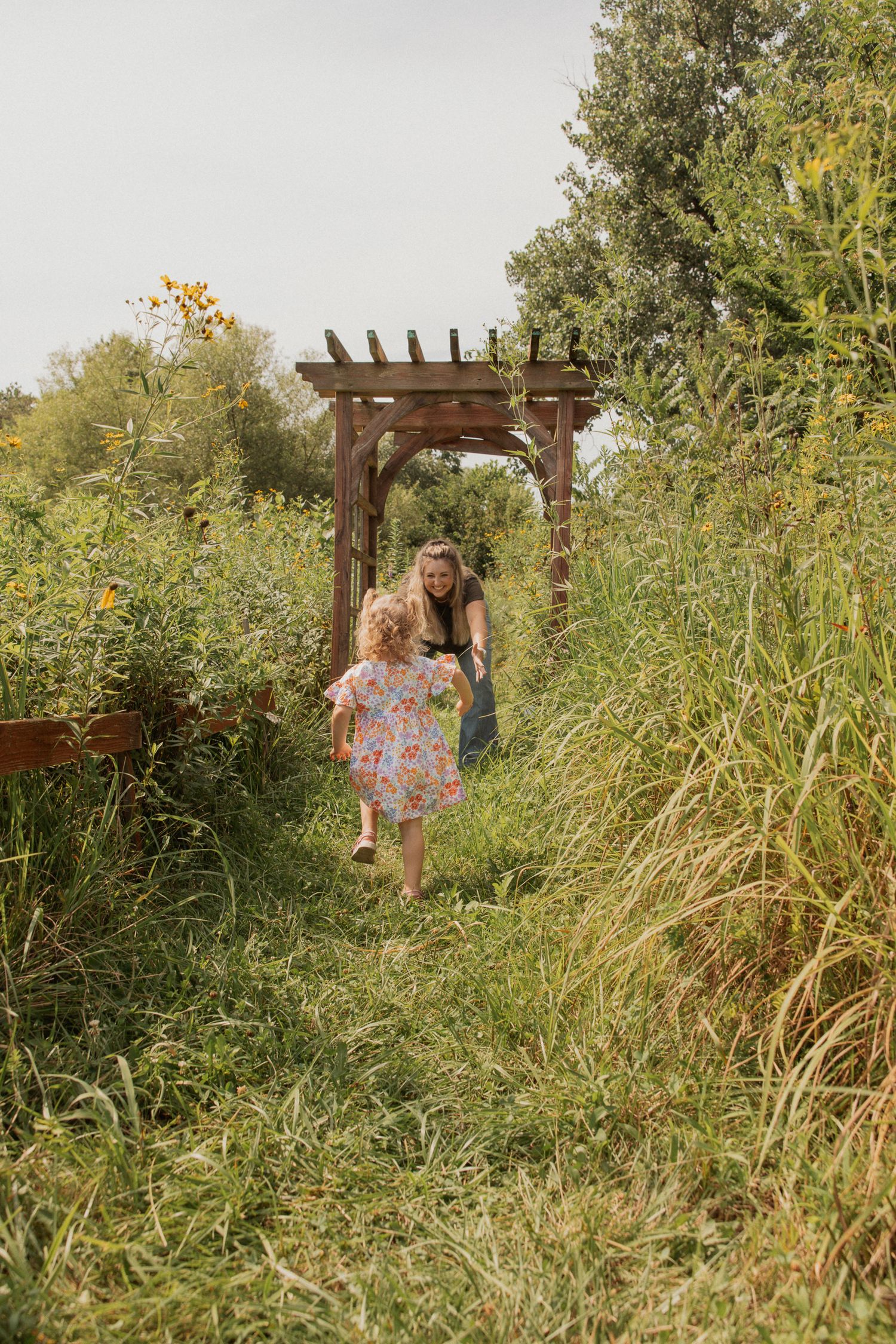 Tall grasses frame a wooden pergola in a lush summer garden setting.