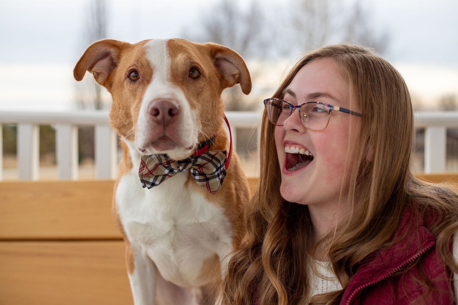 Playful portrait of dog wearing bowtie with companion laughing.
