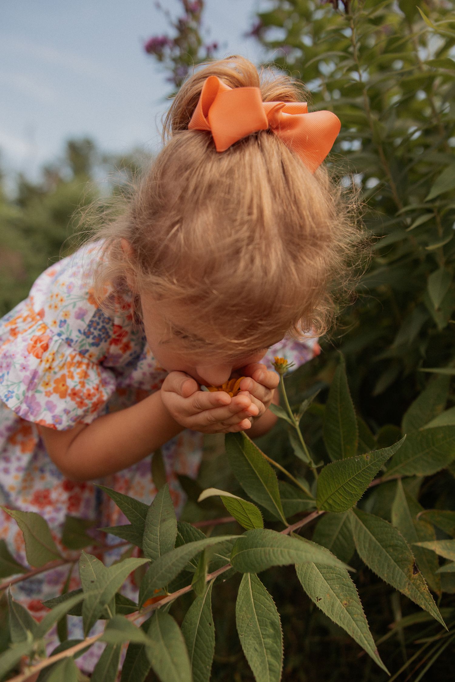 Young child with orange bow leaning over to smell flowers in garden.
