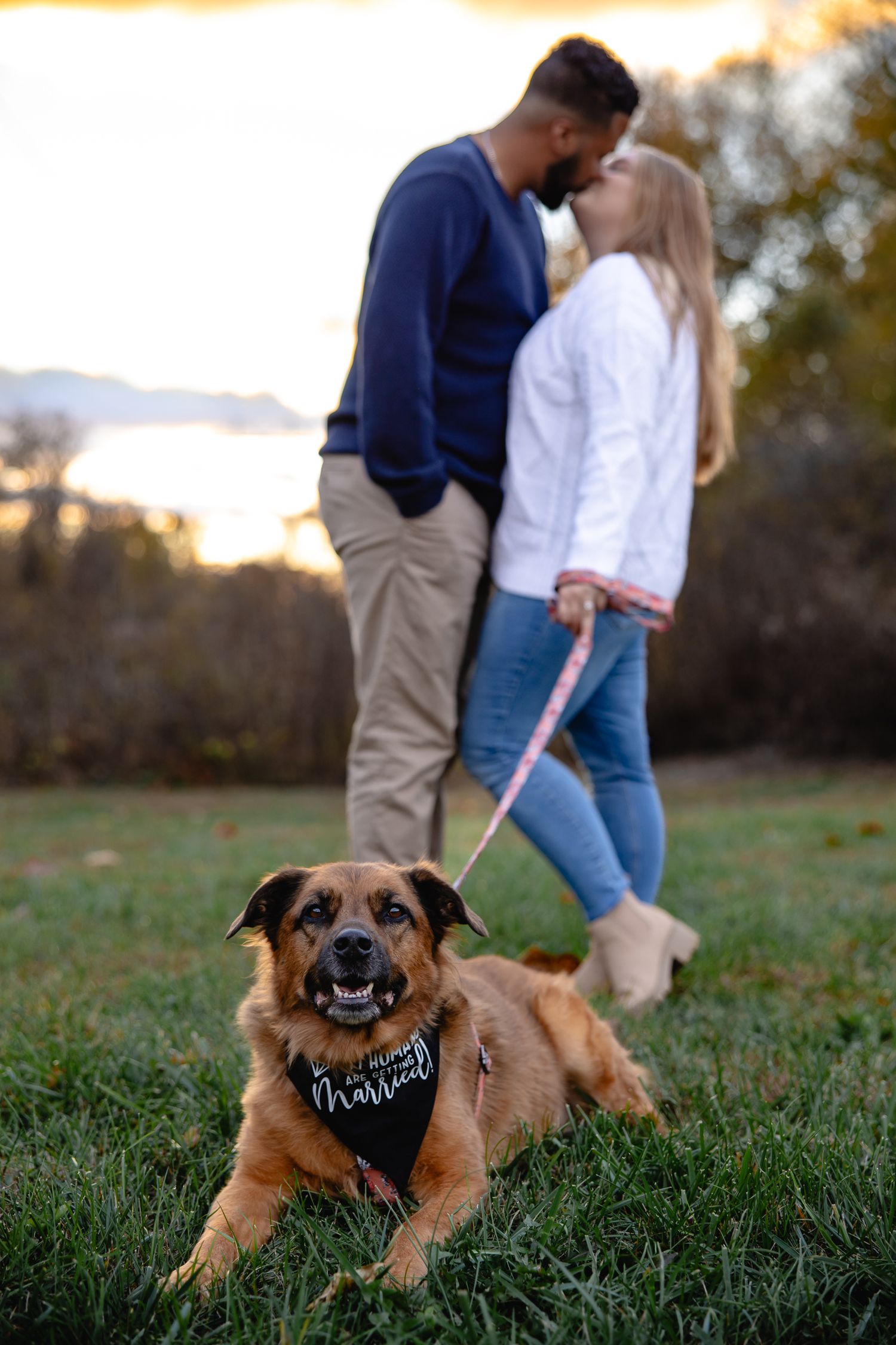 Playful engagement photo featuring a happy dog wearing a bandana in a grassy field.