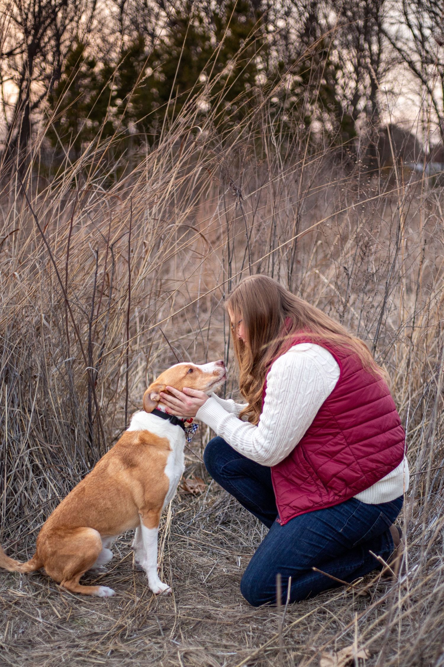 Person in burgundy vest kneeling to pet brown dog in tall grass at sunset.