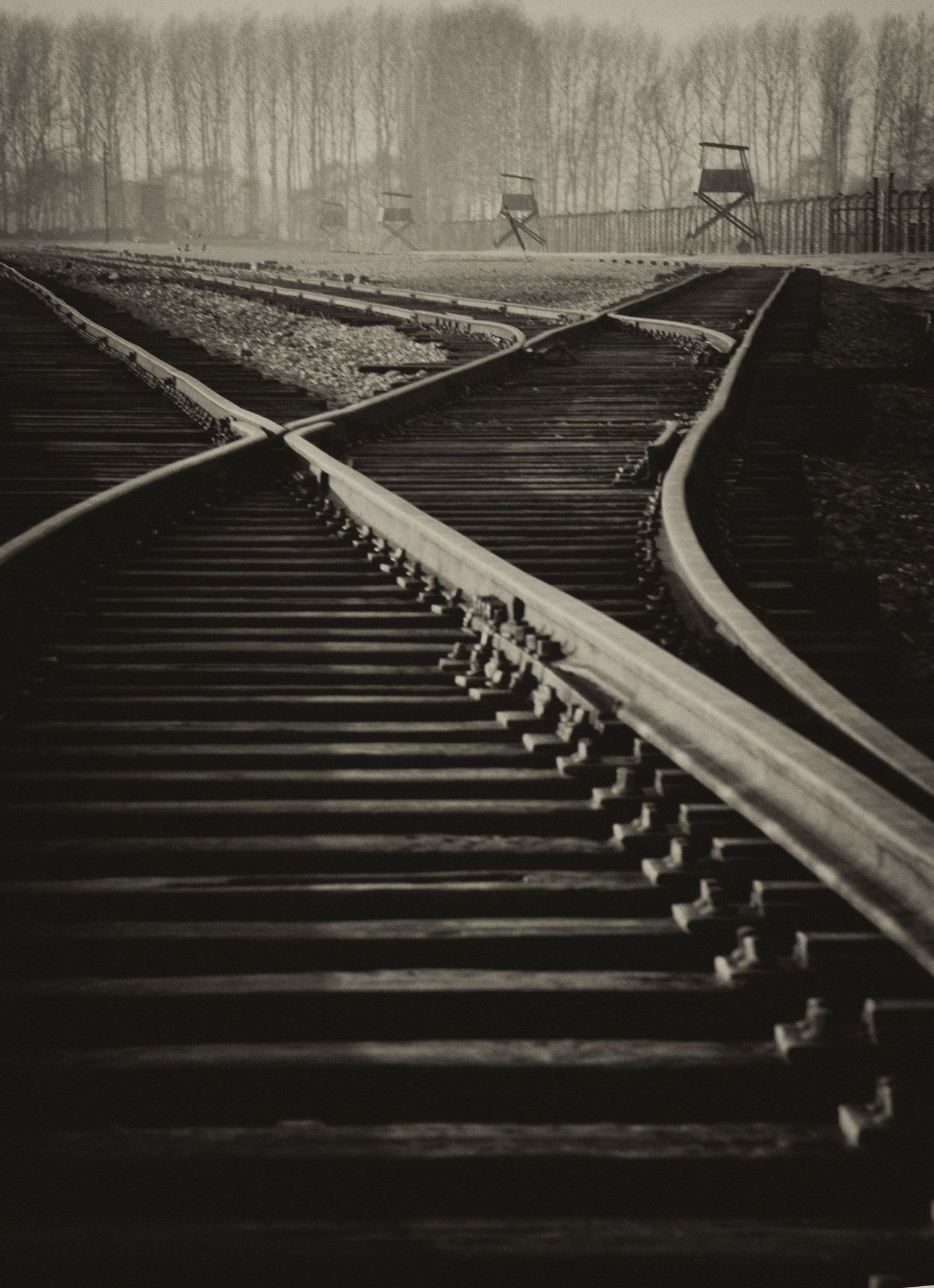 Black and white photo of railroad tracks diverging at Auschwitz-Birkenau concentration camp with guard towers in background.