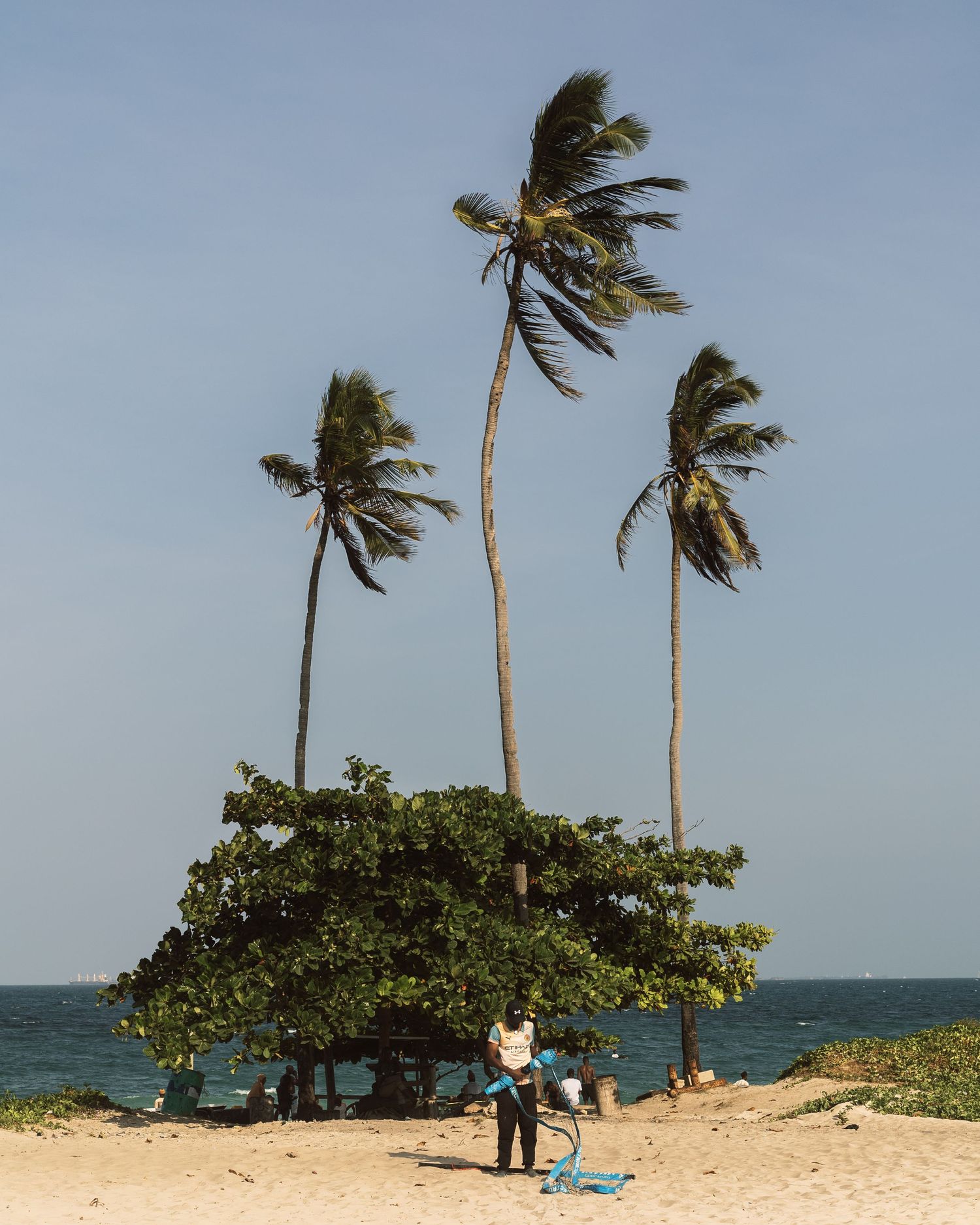 Surfer beneath palm trees on the coast Coco Beach, fine art landscape and documentary photography.