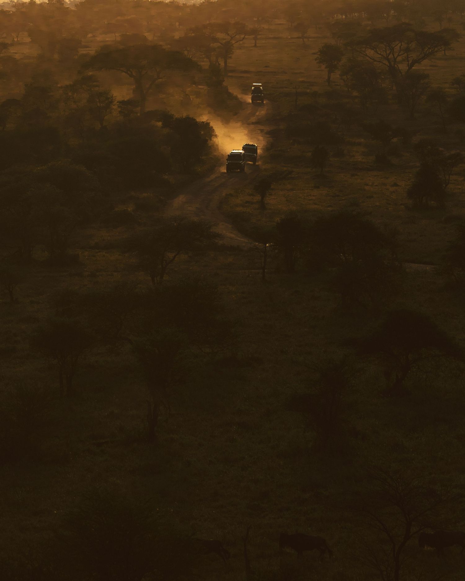 Moody fine art landscape print of a dusty safari road at sunset, atmospheric dark wall decor capturing the African wild by Naezi Eyes