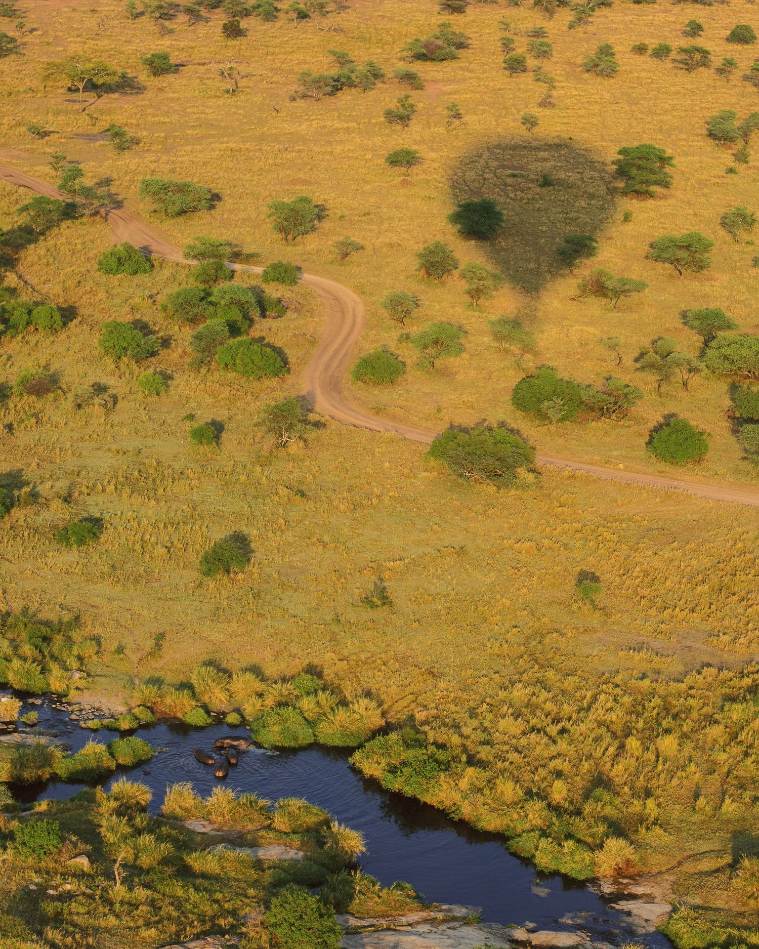 Aerial landscape photography of the Serengeti ecosystem, capturing the scale of Tanzanian national parks by Naezi Eyes.