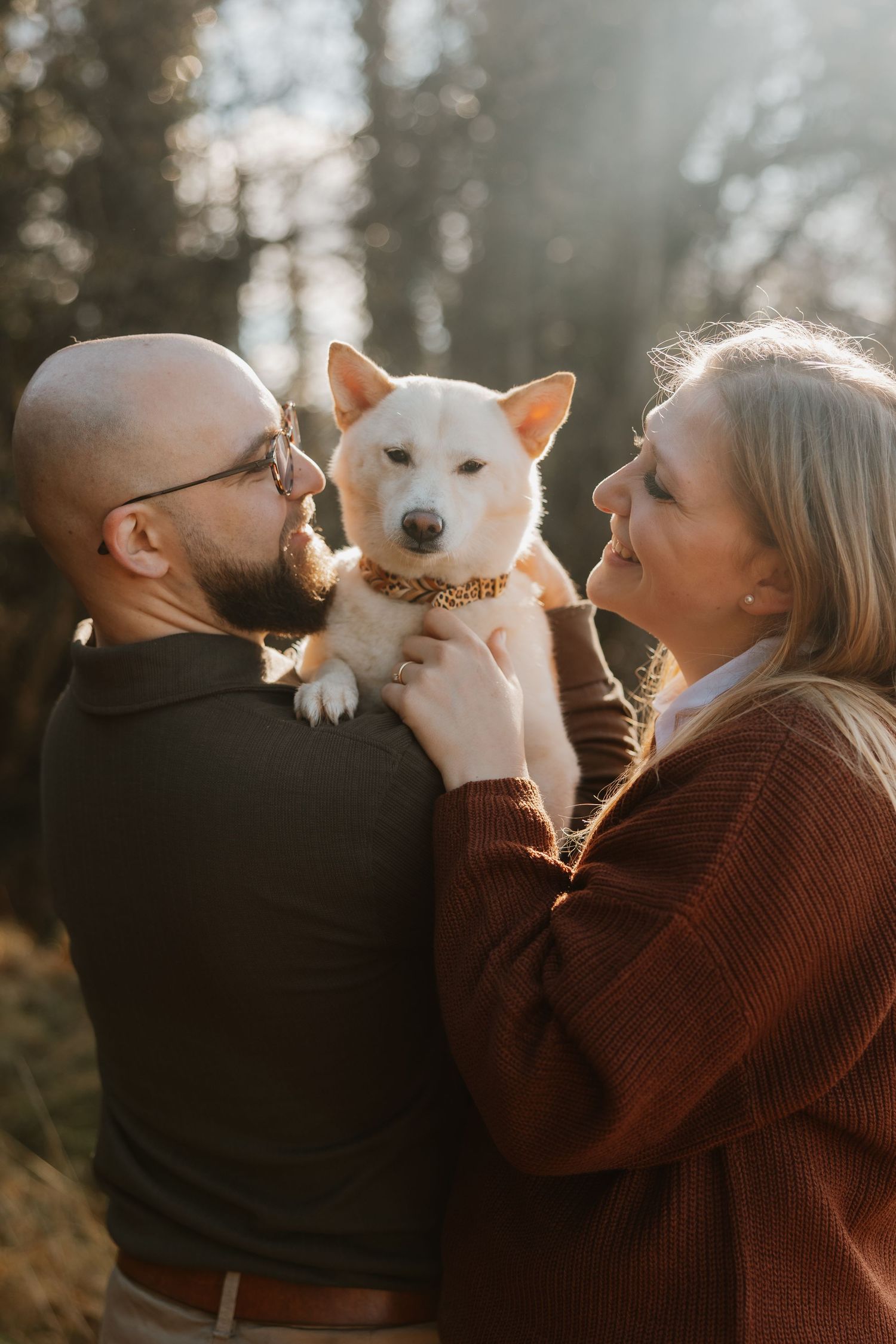Hundeshooting am Bodensee