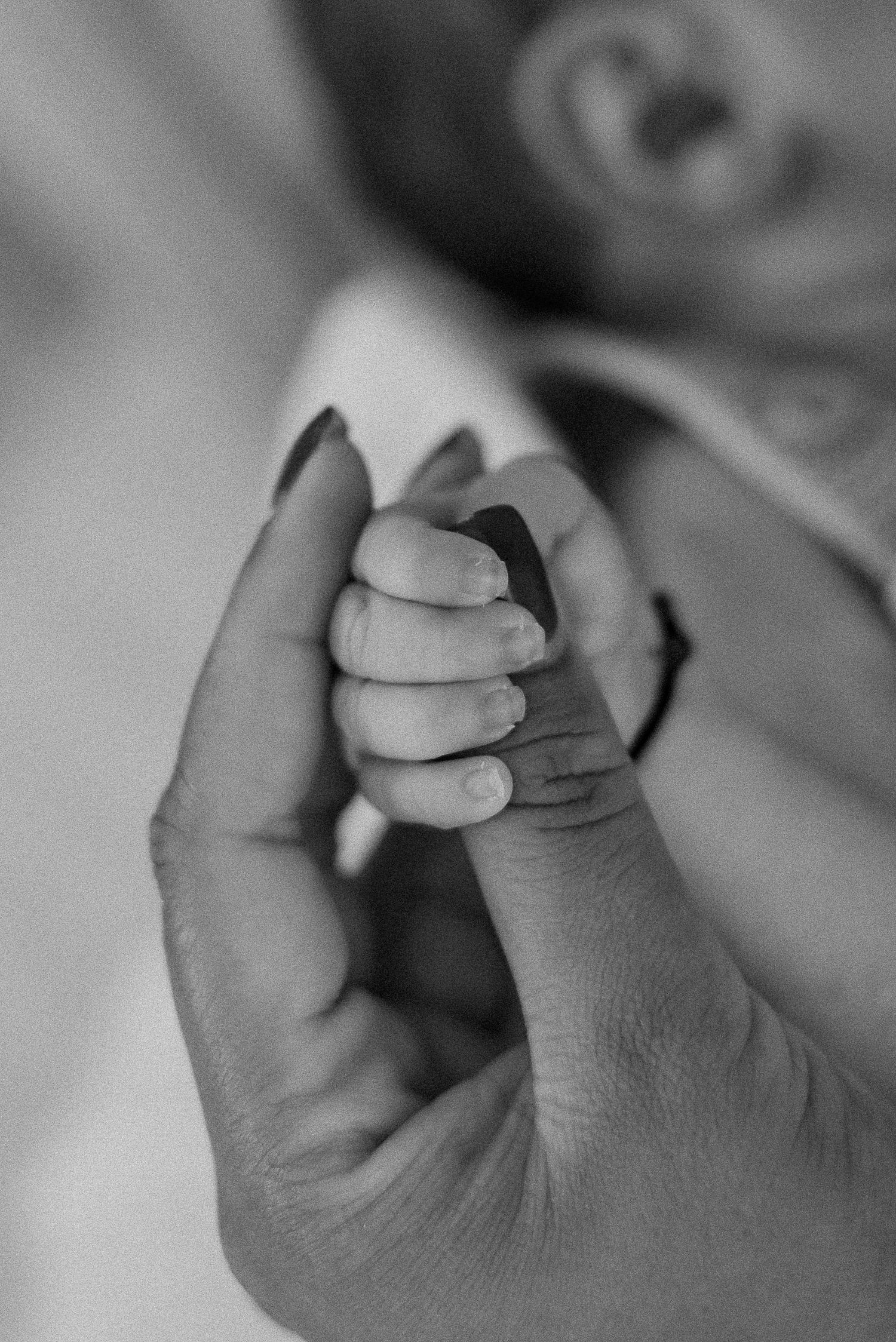 Black and white close-up of baby's tiny hand holding adult finger.