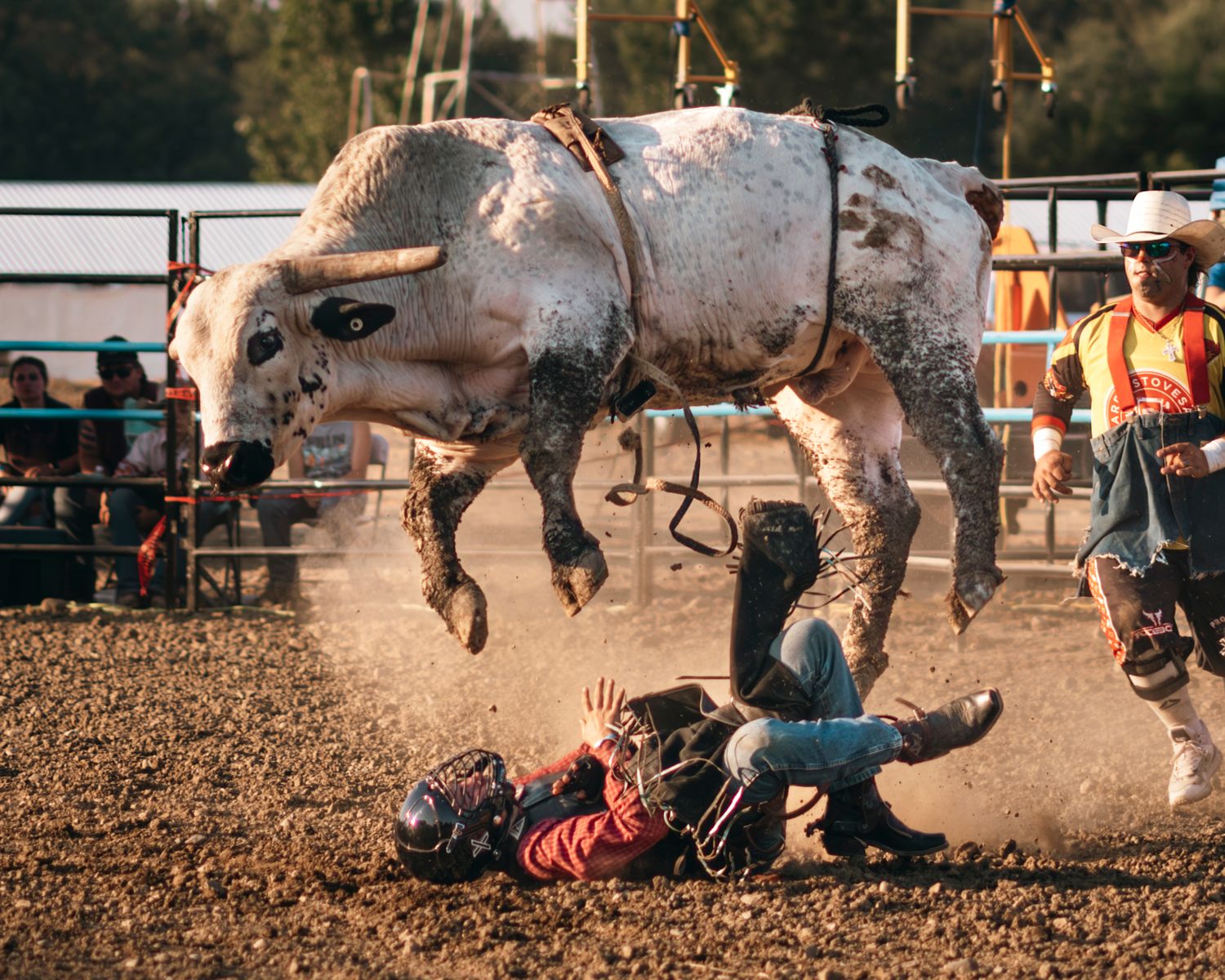 Multiple rodeo riders being thrown from bucking bulls in dramatic action sequence.