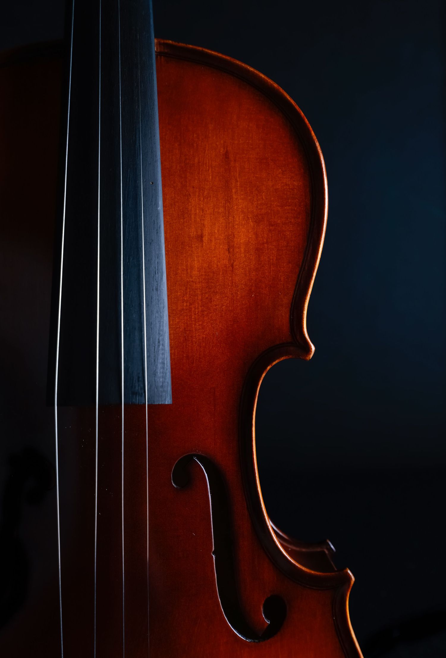 Close-up details of a wooden violin body against dark background showing elegant curves and craftsmanship.