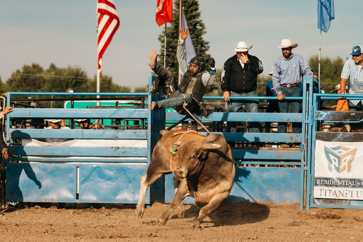 Bull rider competes in rodeo arena with American flags and blue fencing visible.