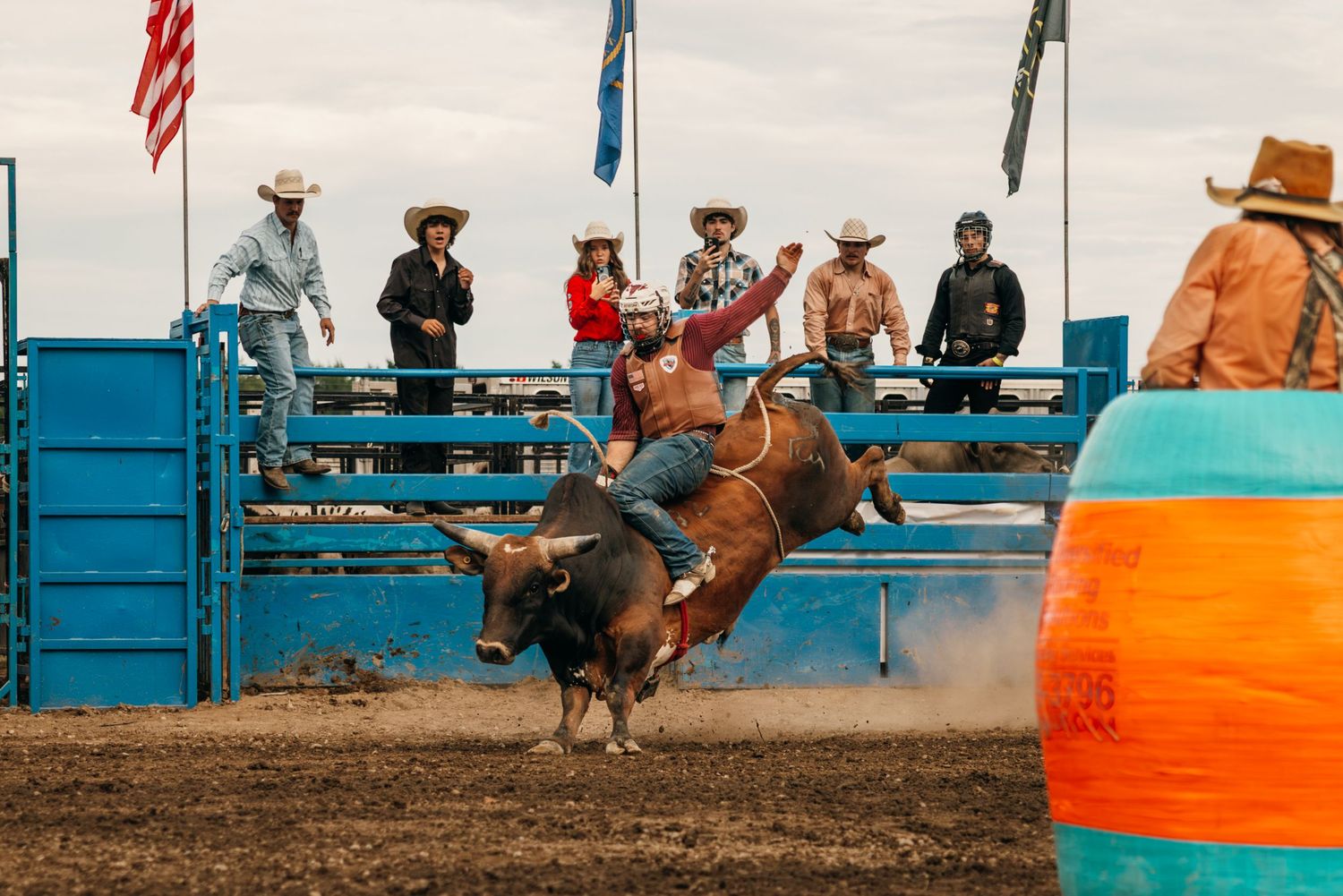 Rodeo action shot of a bull rider competing at an outdoor arena with orange barrels.