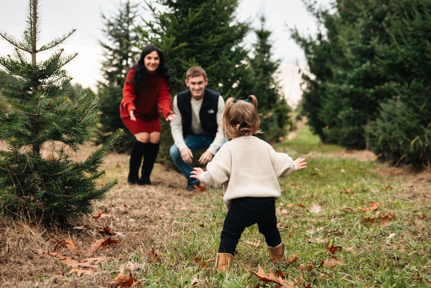 A playful family moment captured between evergreen trees at a Christmas tree farm.