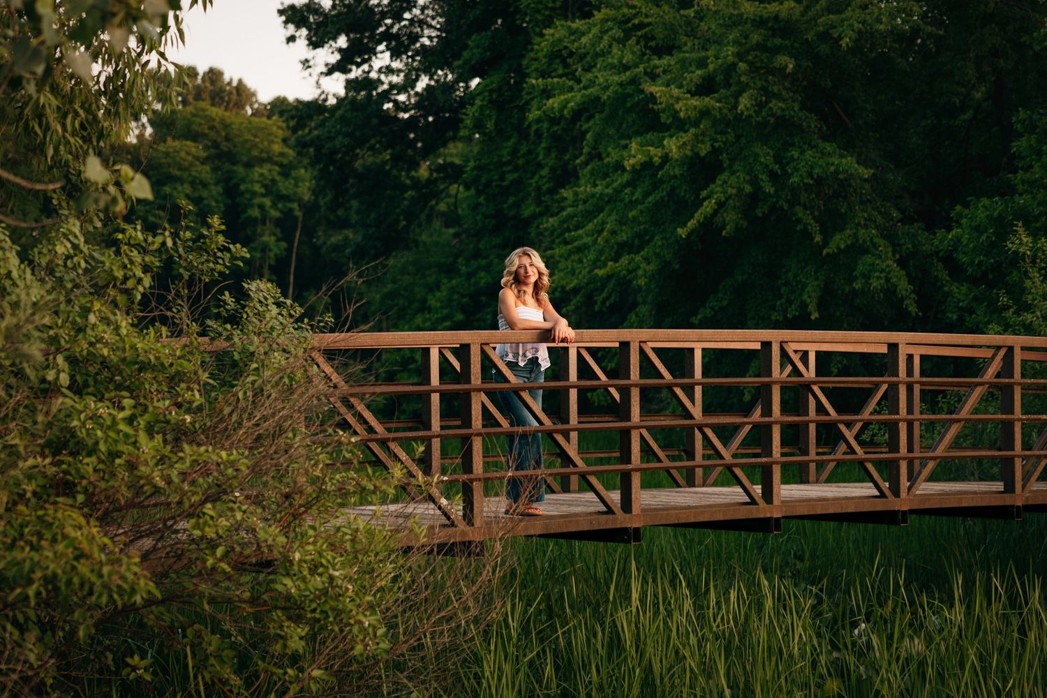A wooden footbridge spans across a natural landscape at dusk.