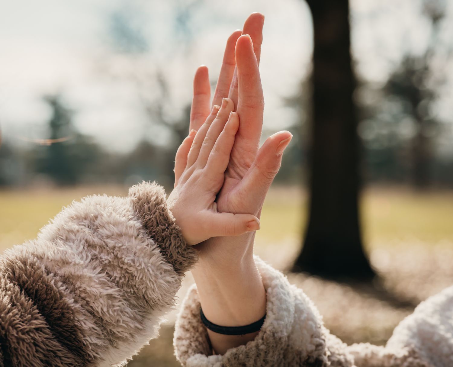 Two hands touch together while wearing fuzzy sweater sleeves in natural outdoor lighting.