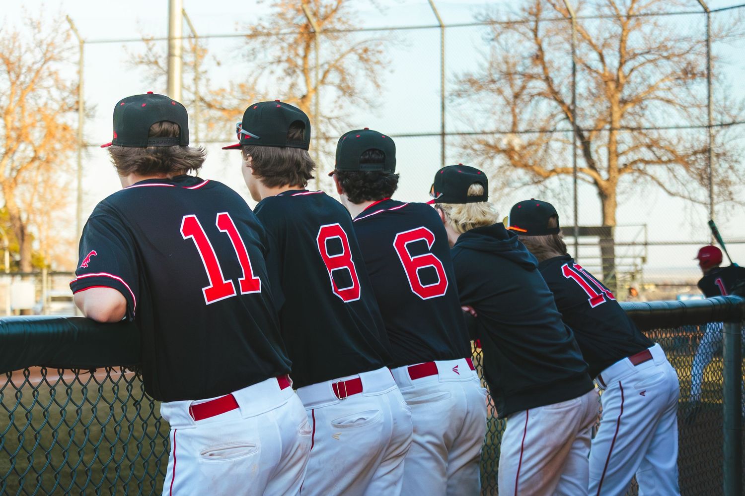 Baseball Photo