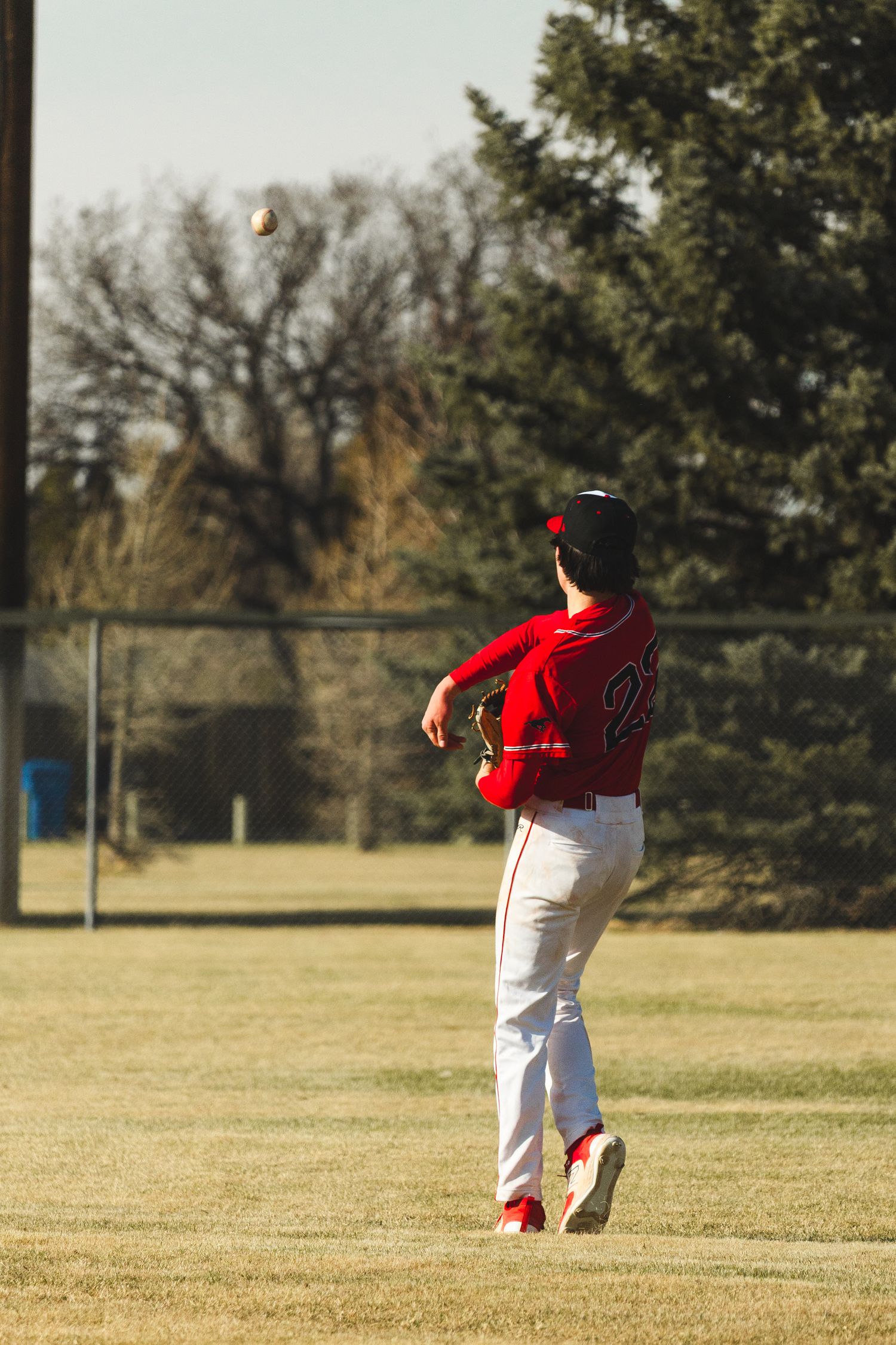 Baseball Photo