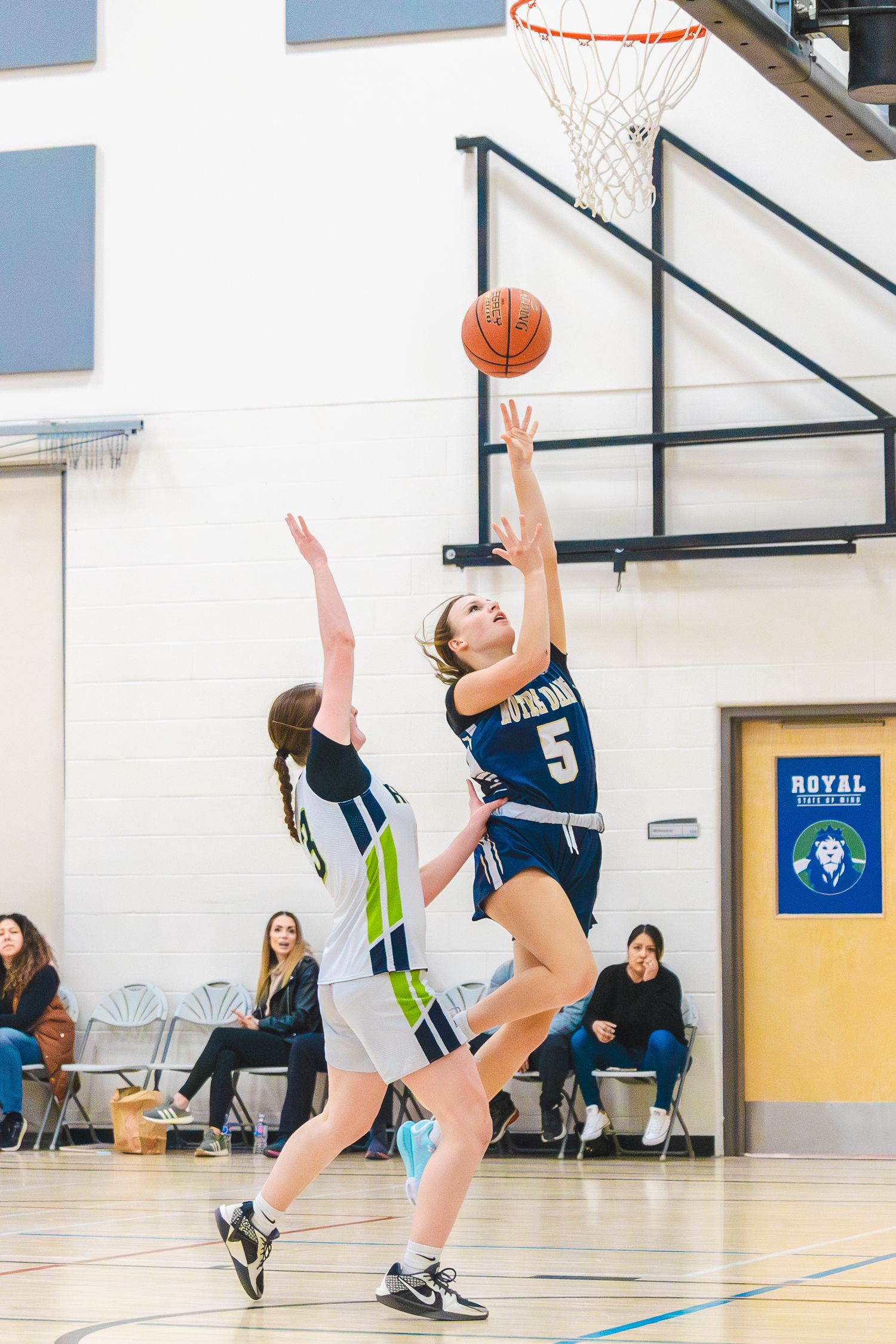 Basketball photo