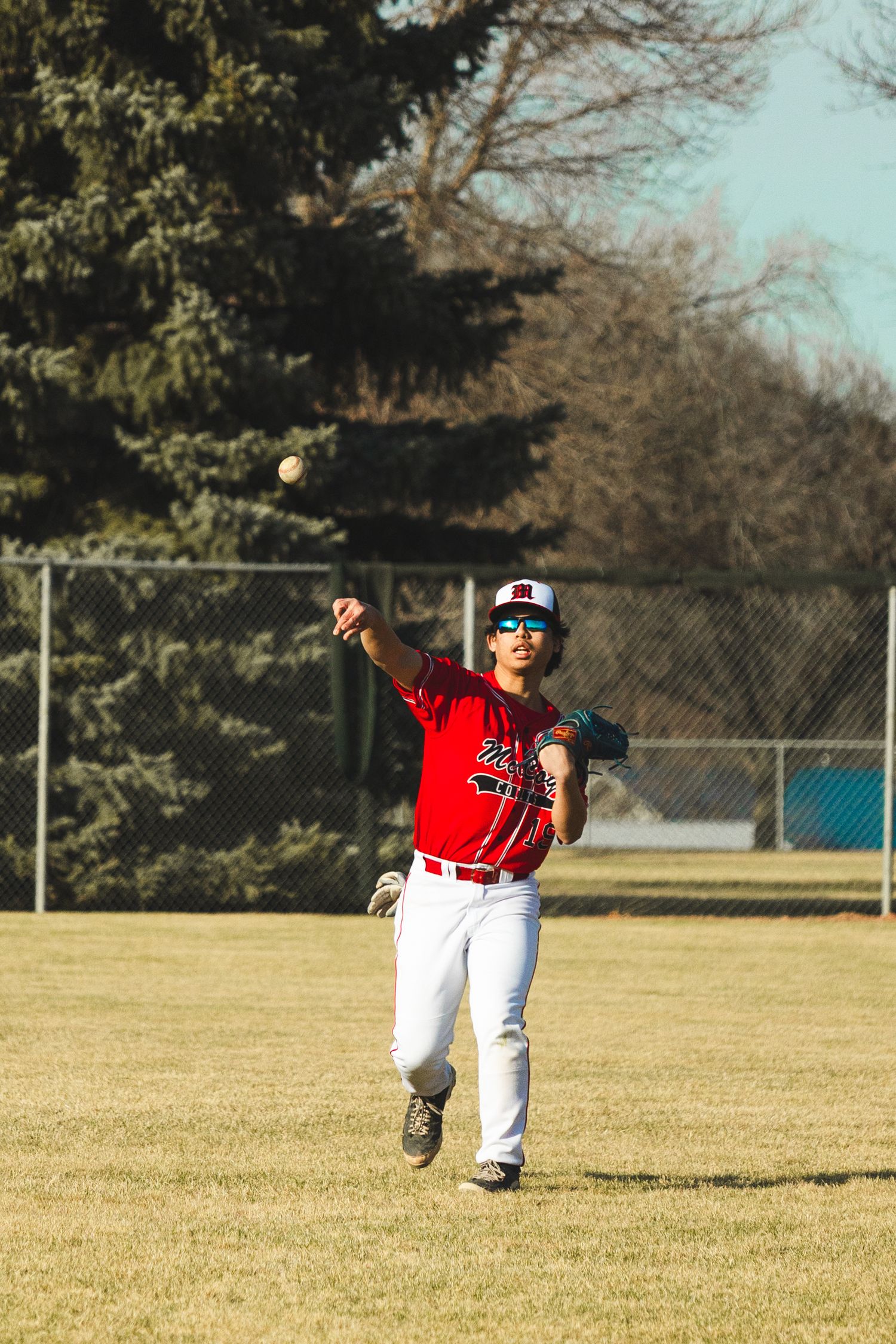 Baseball Photo