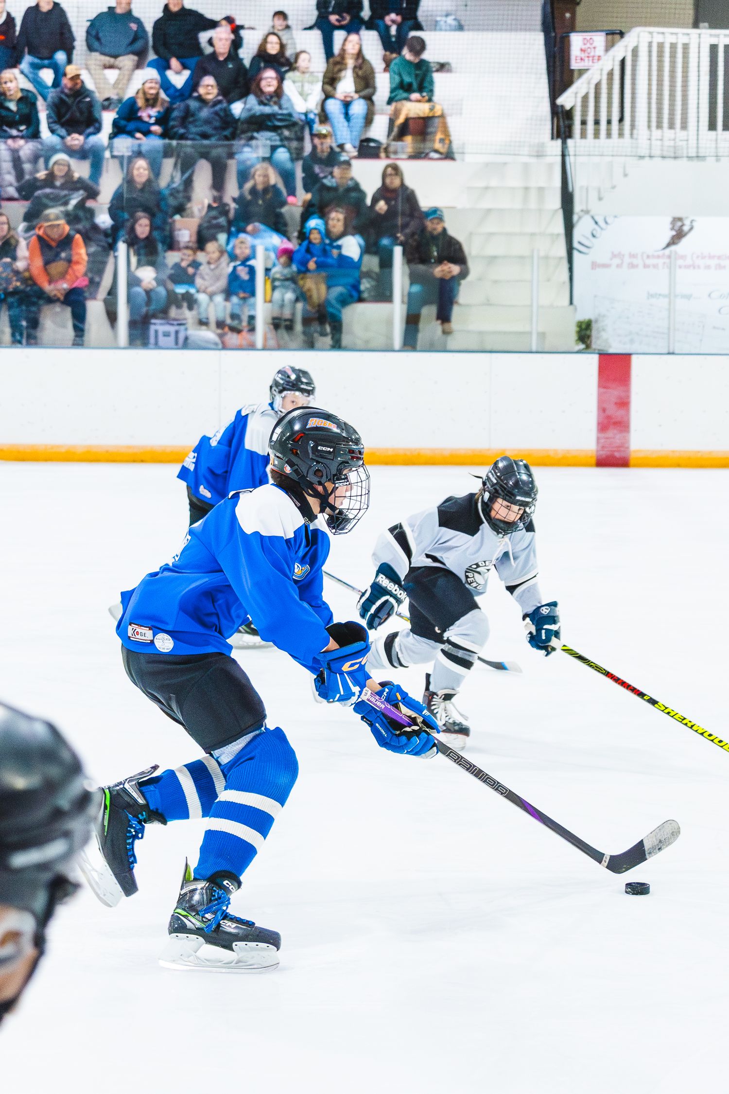 Hockey Photo