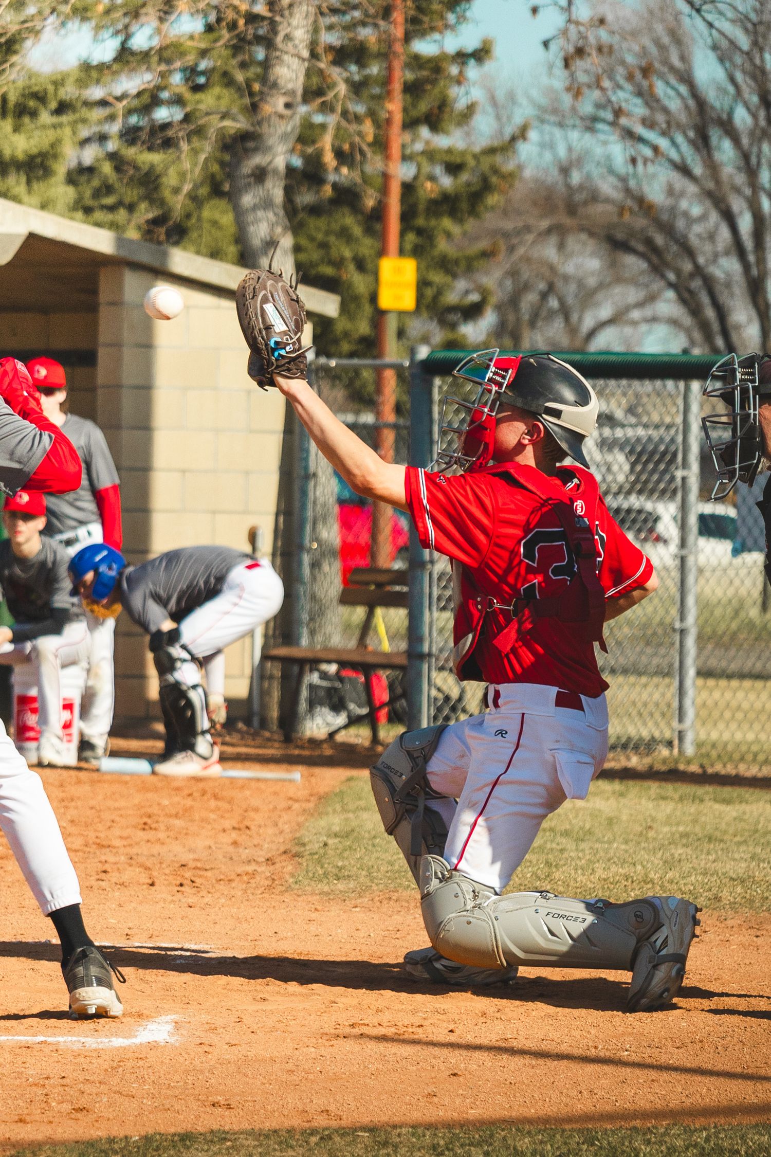 Baseball Photo