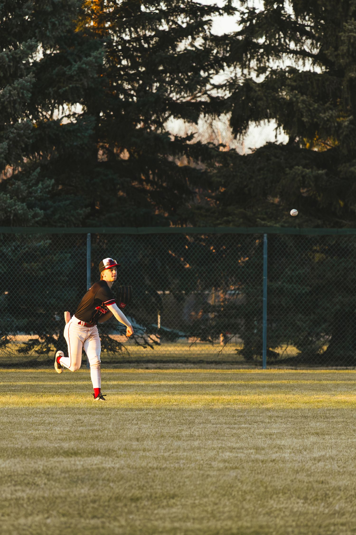 Baseball Photo
