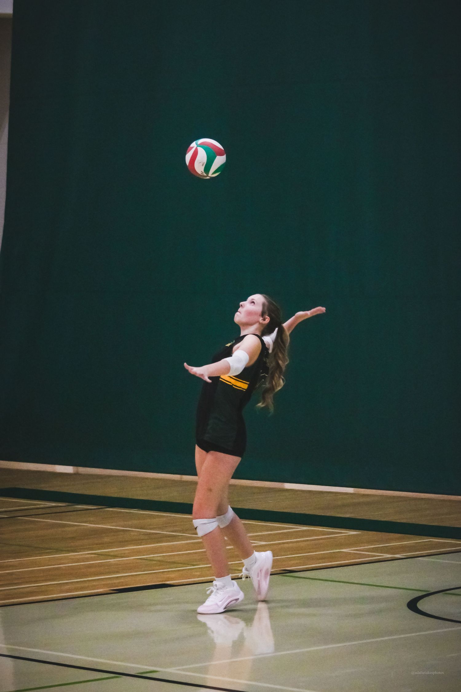 Volleyball photo