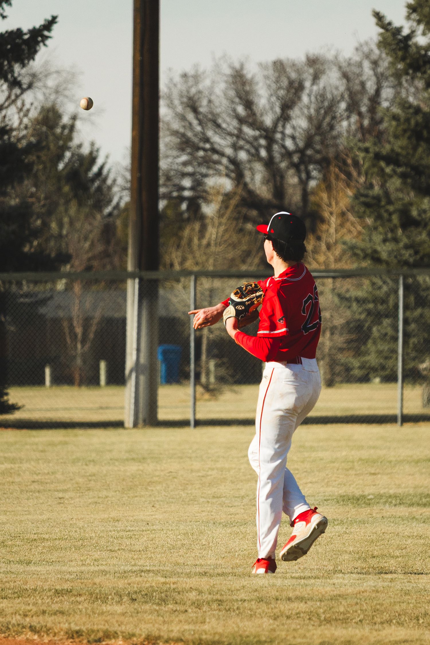 Baseball Photo