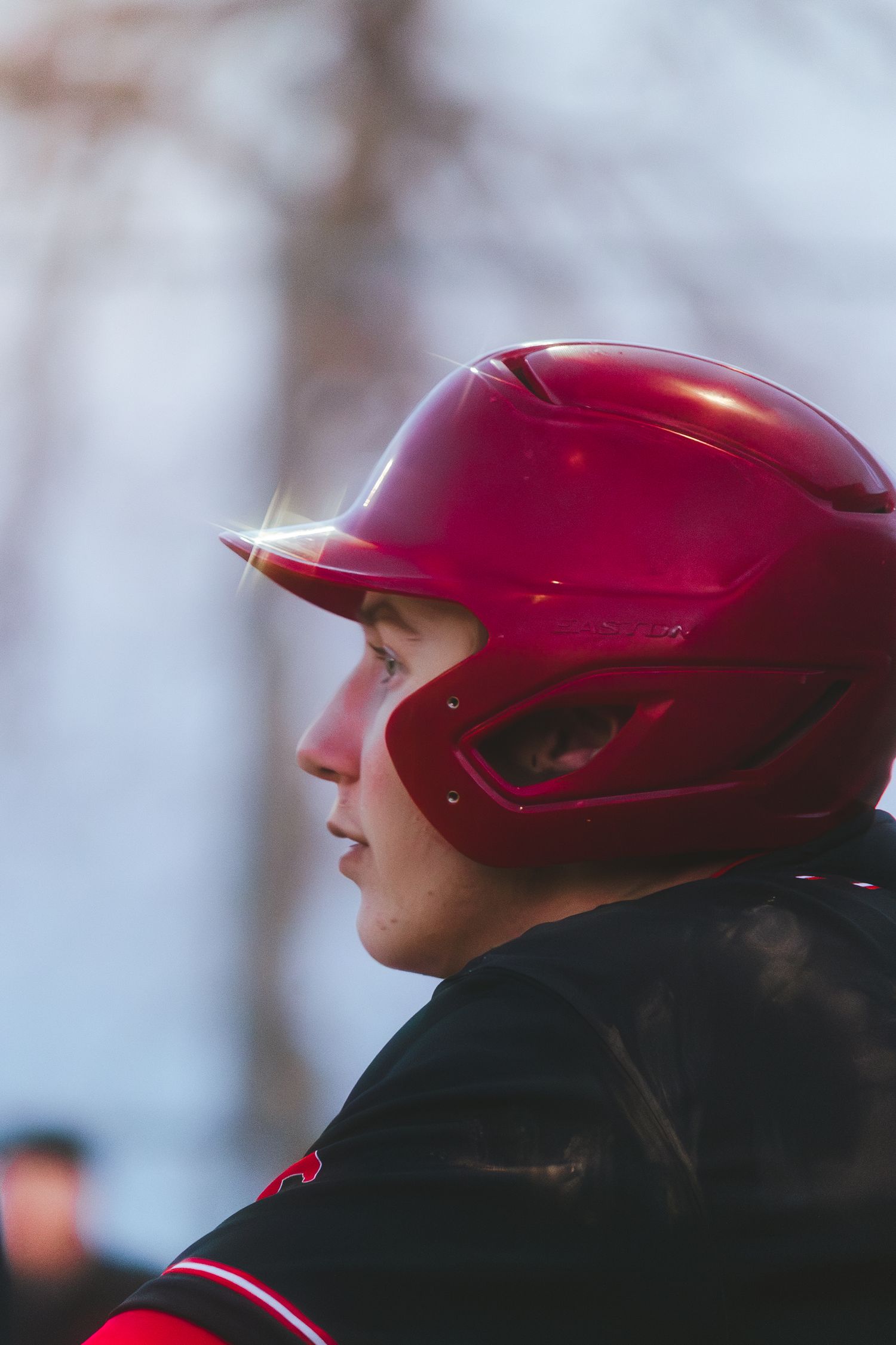 Baseball Photo