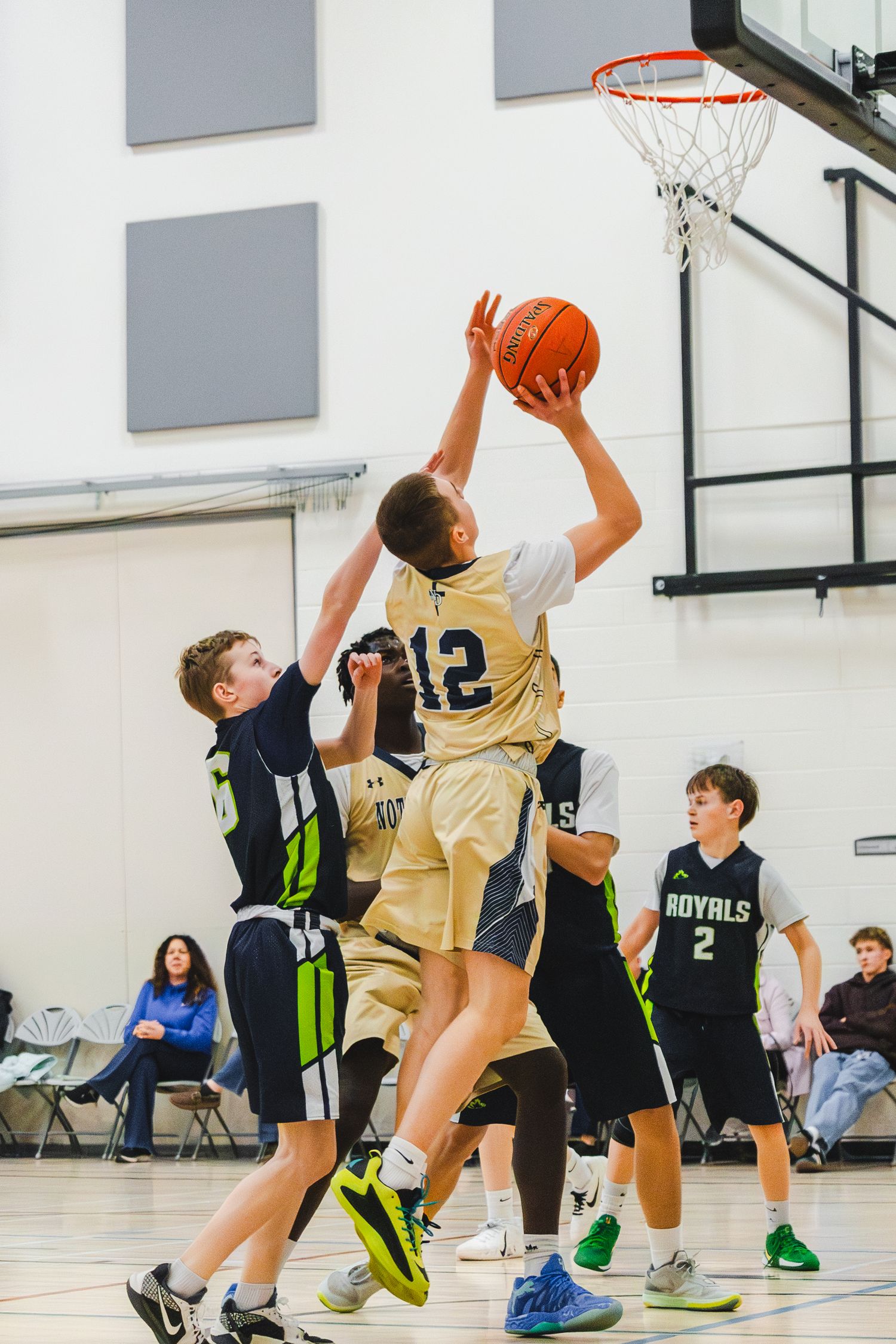 Basketball photo