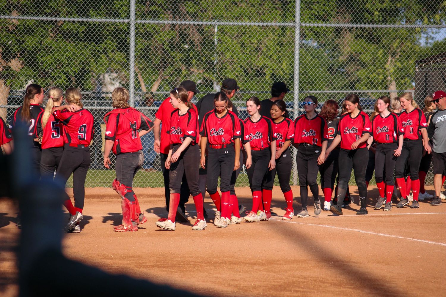 Softball Photo