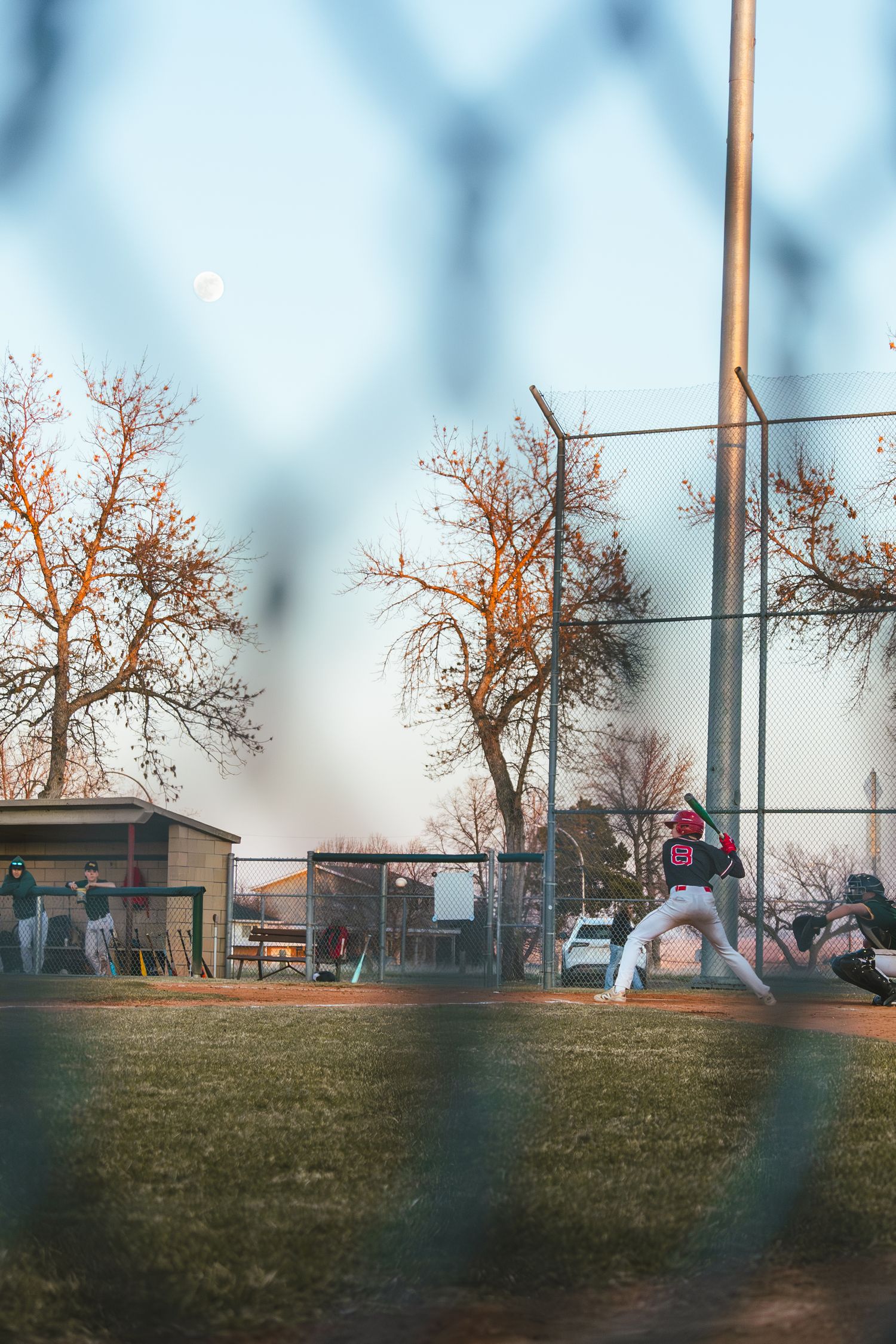 Baseball Photo