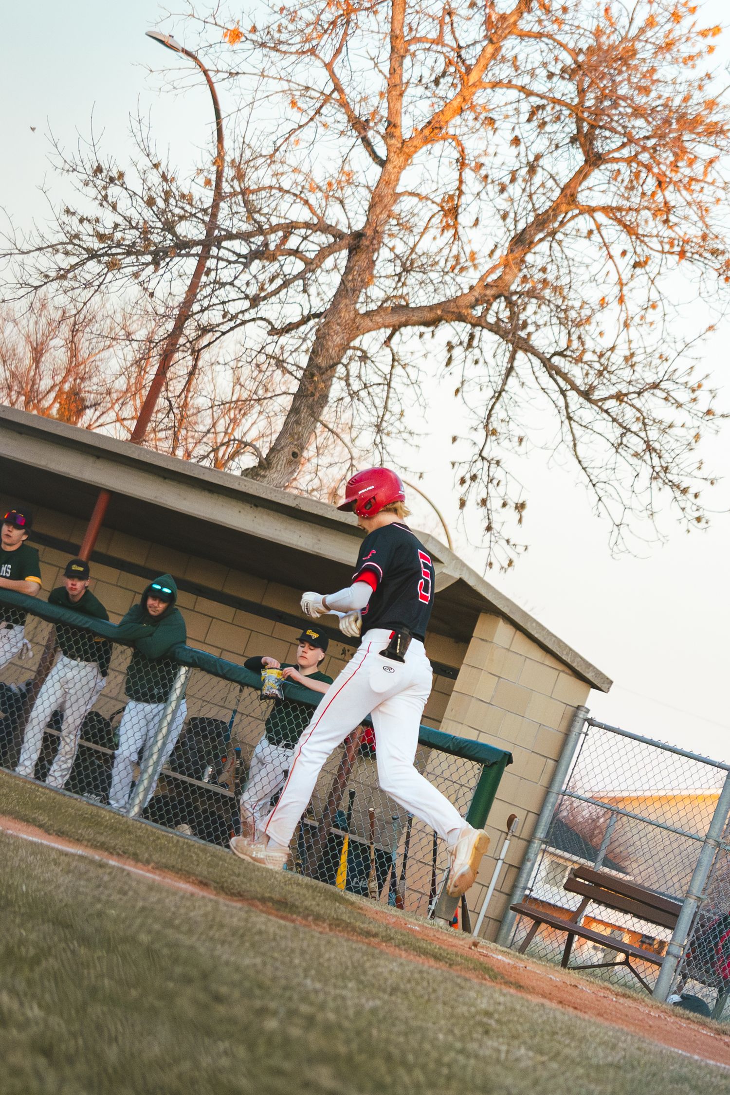 Baseball Photo
