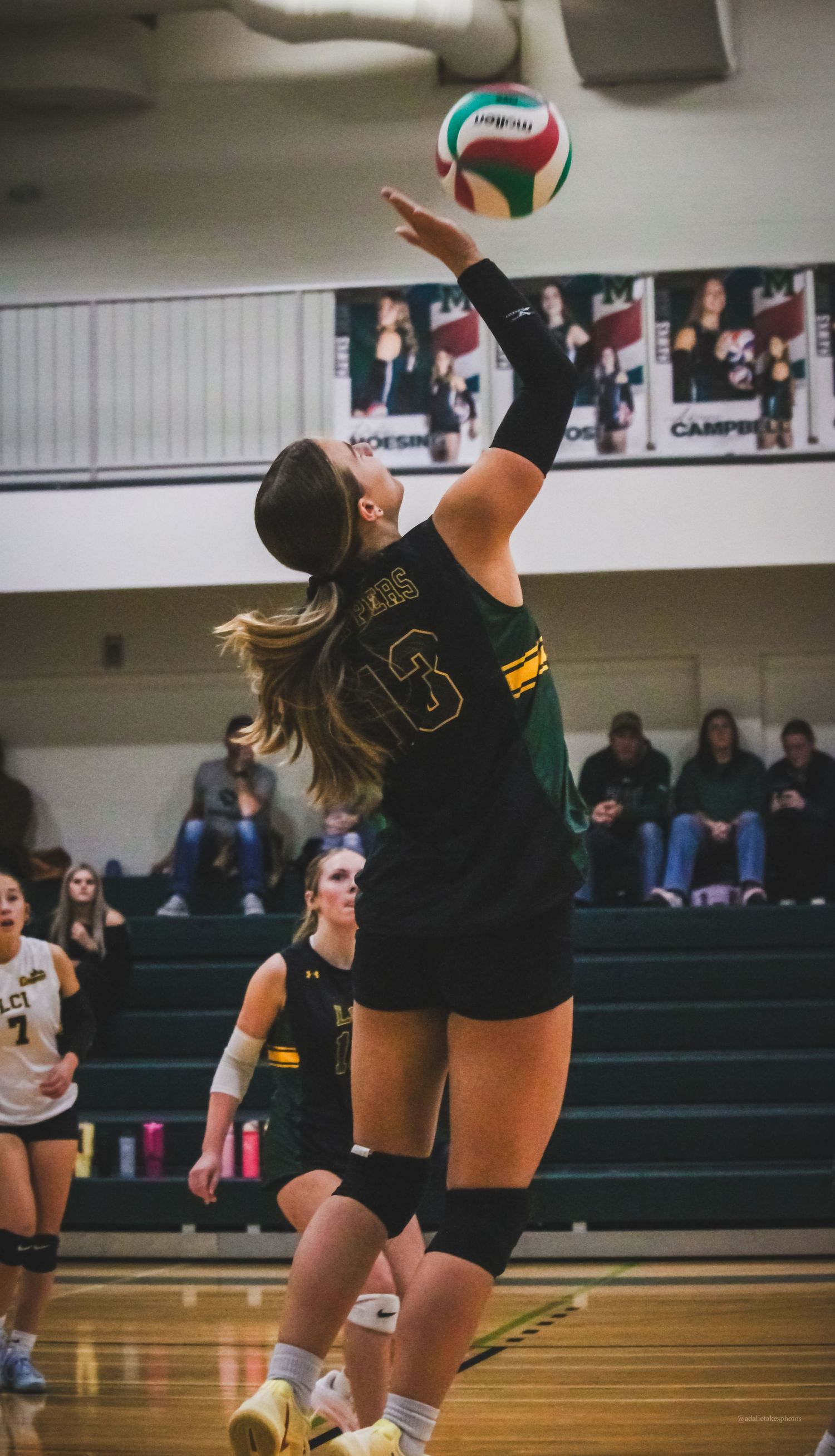 Volleyball photo