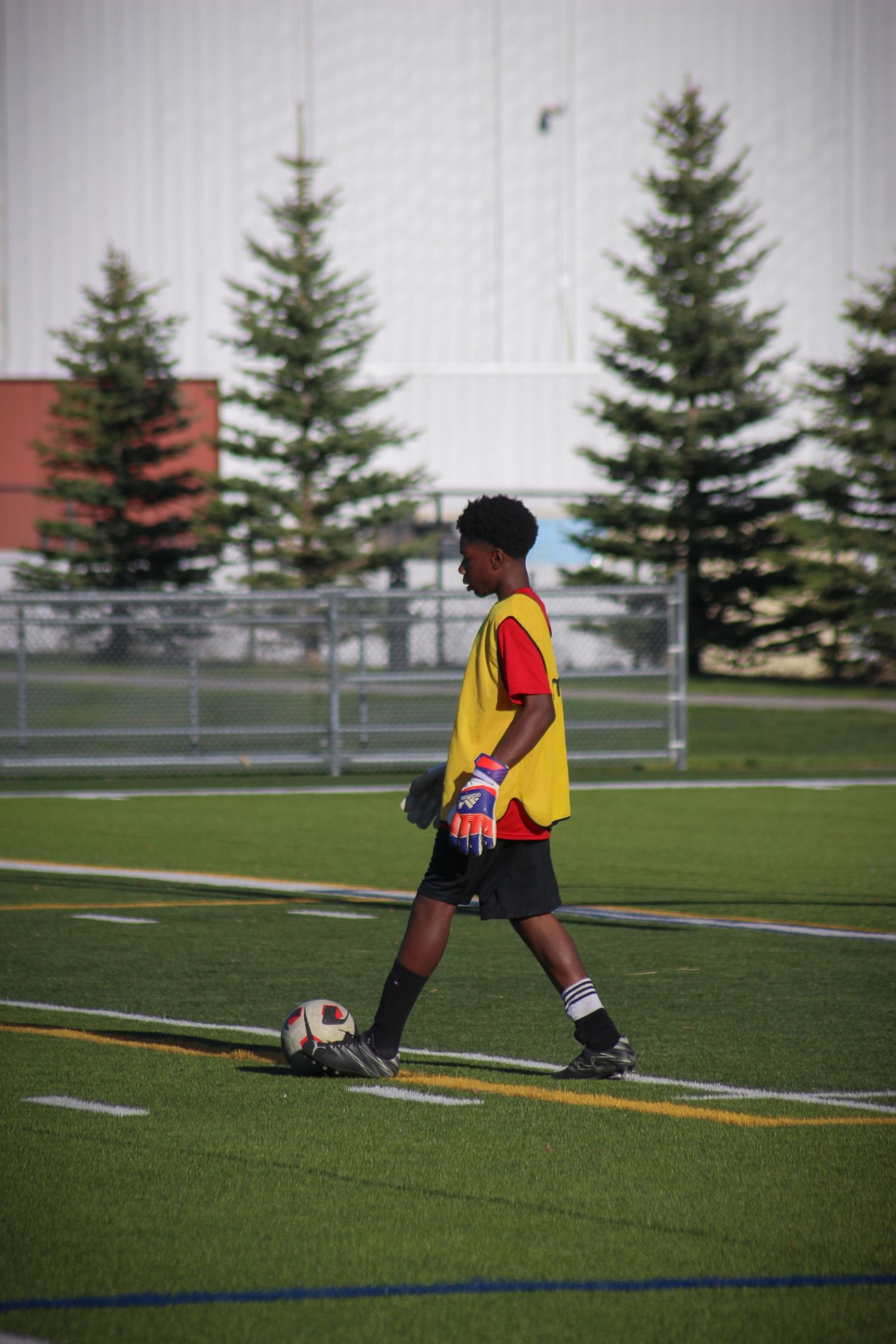 Soccer Photo