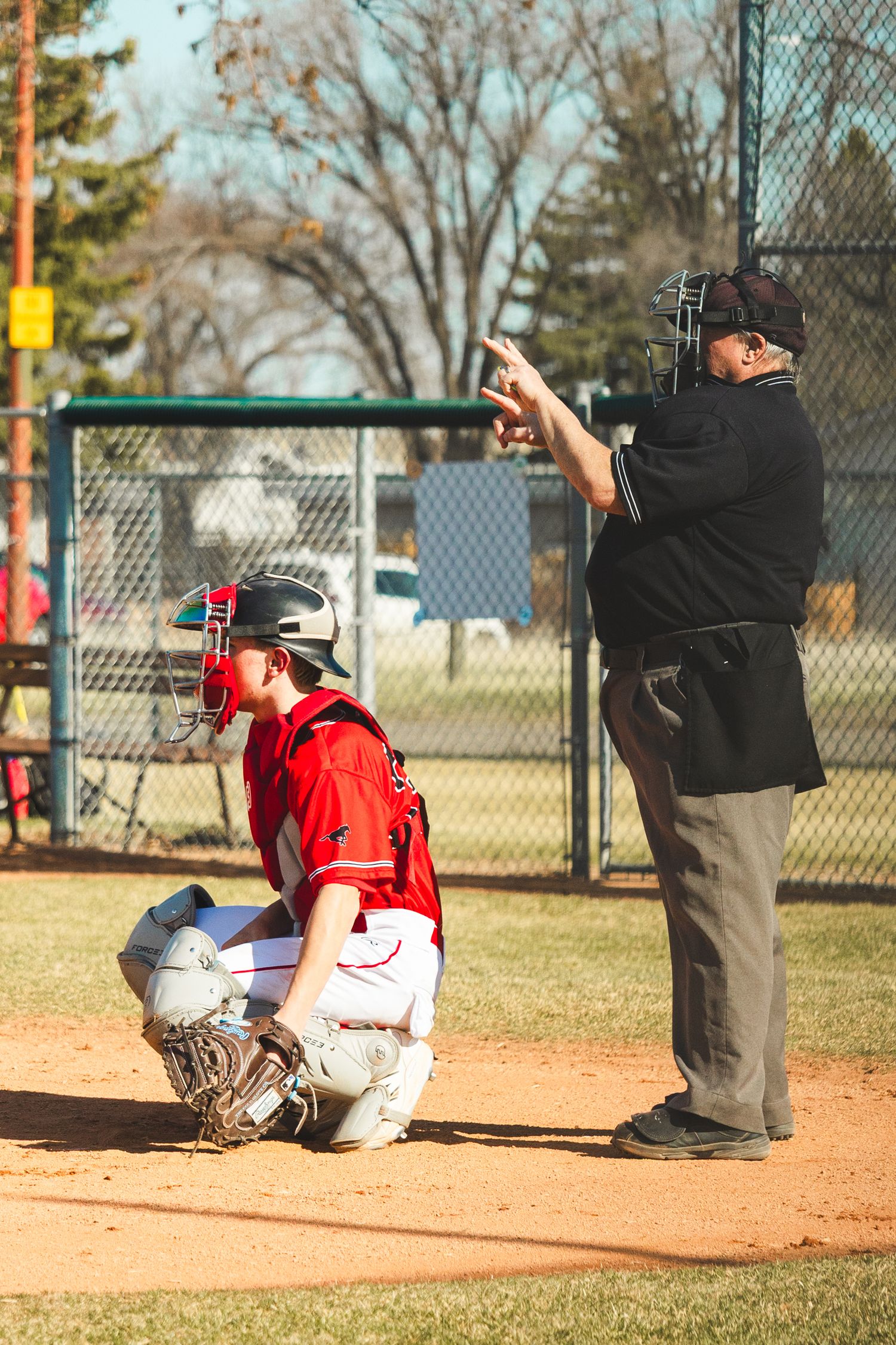 Baseball Photo