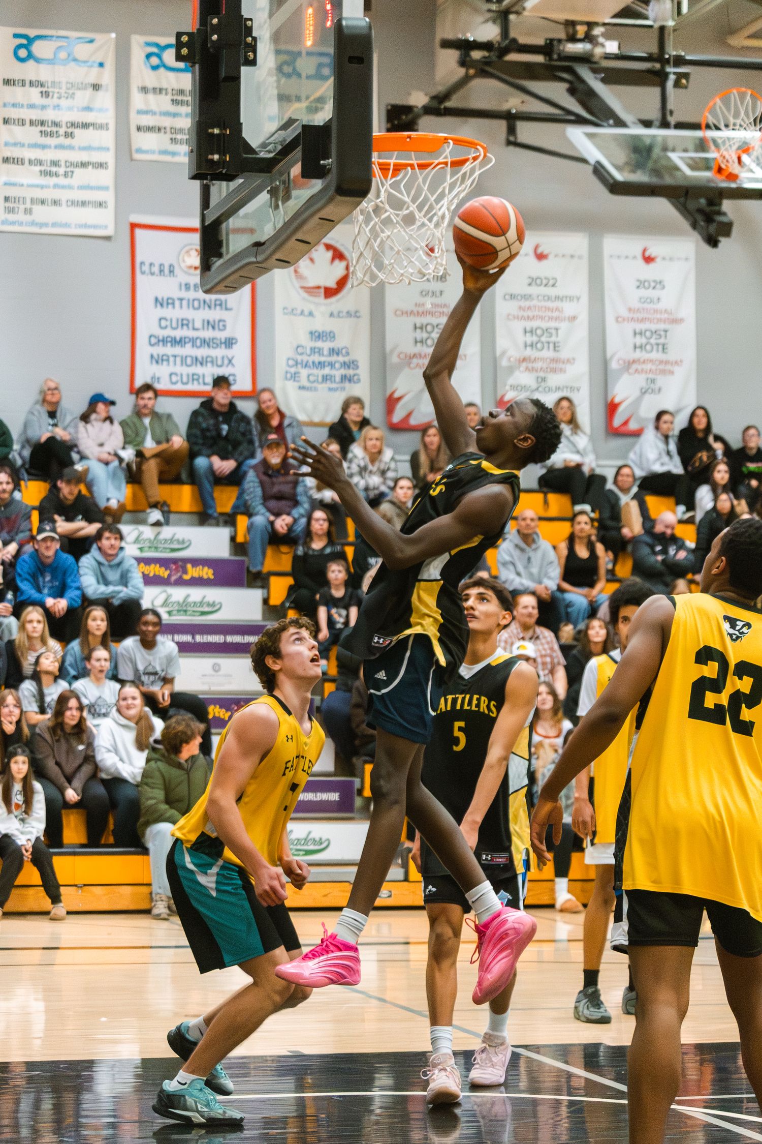 Basketball Photo