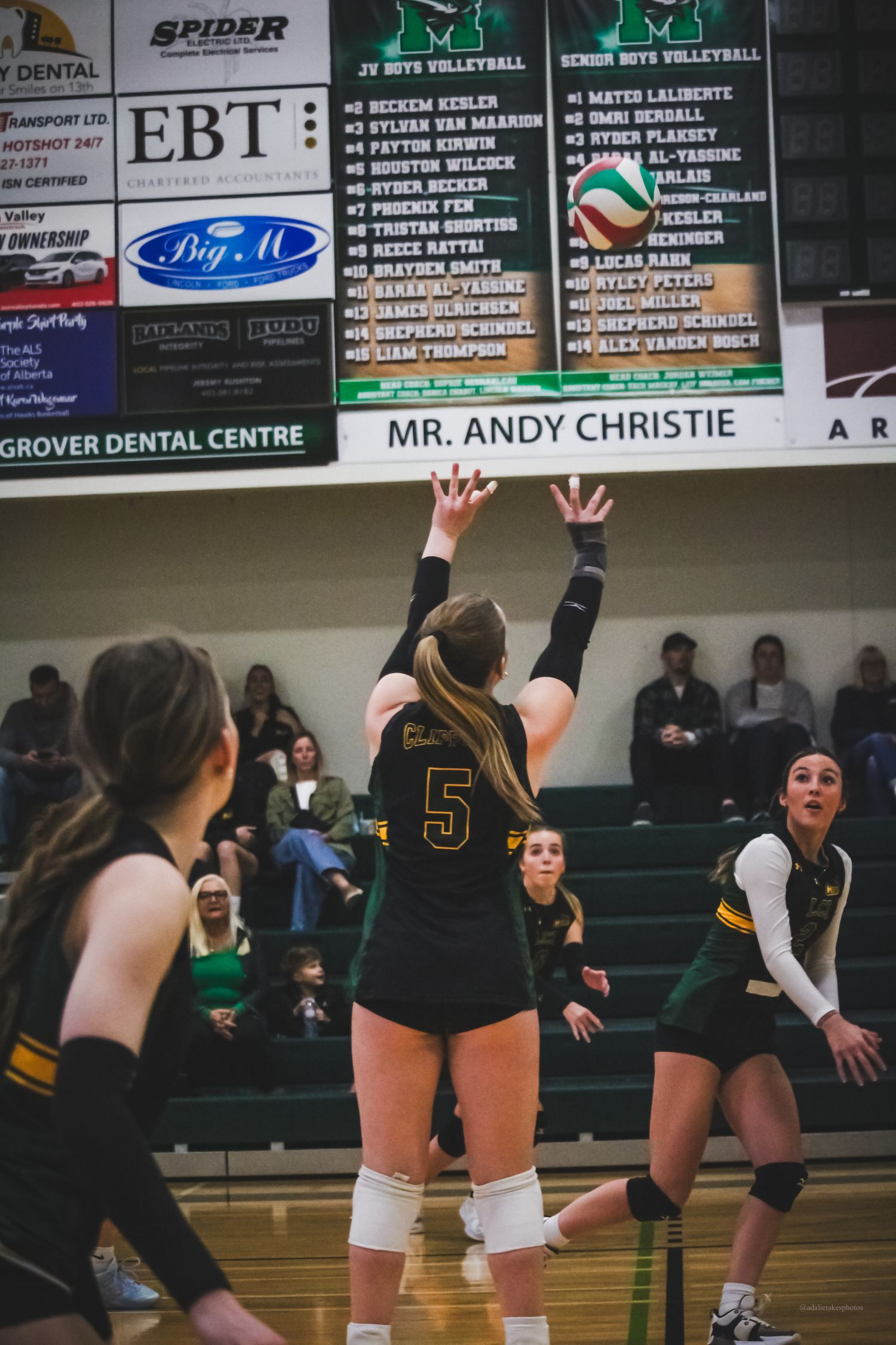 Volleyball photo