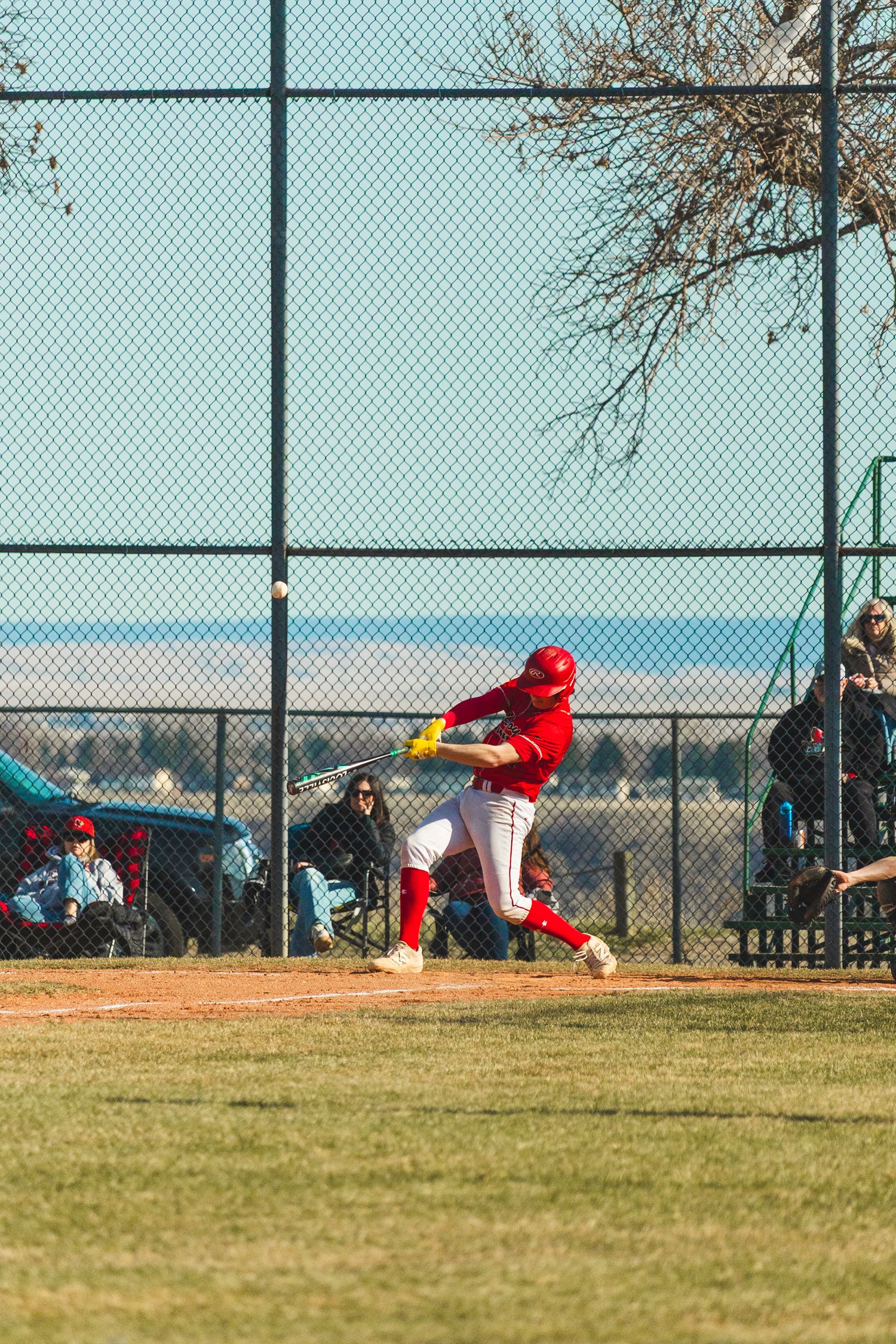 Baseball Photo